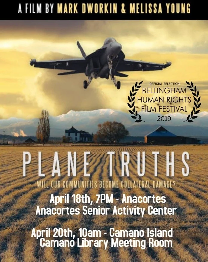 Plane Truths Showings