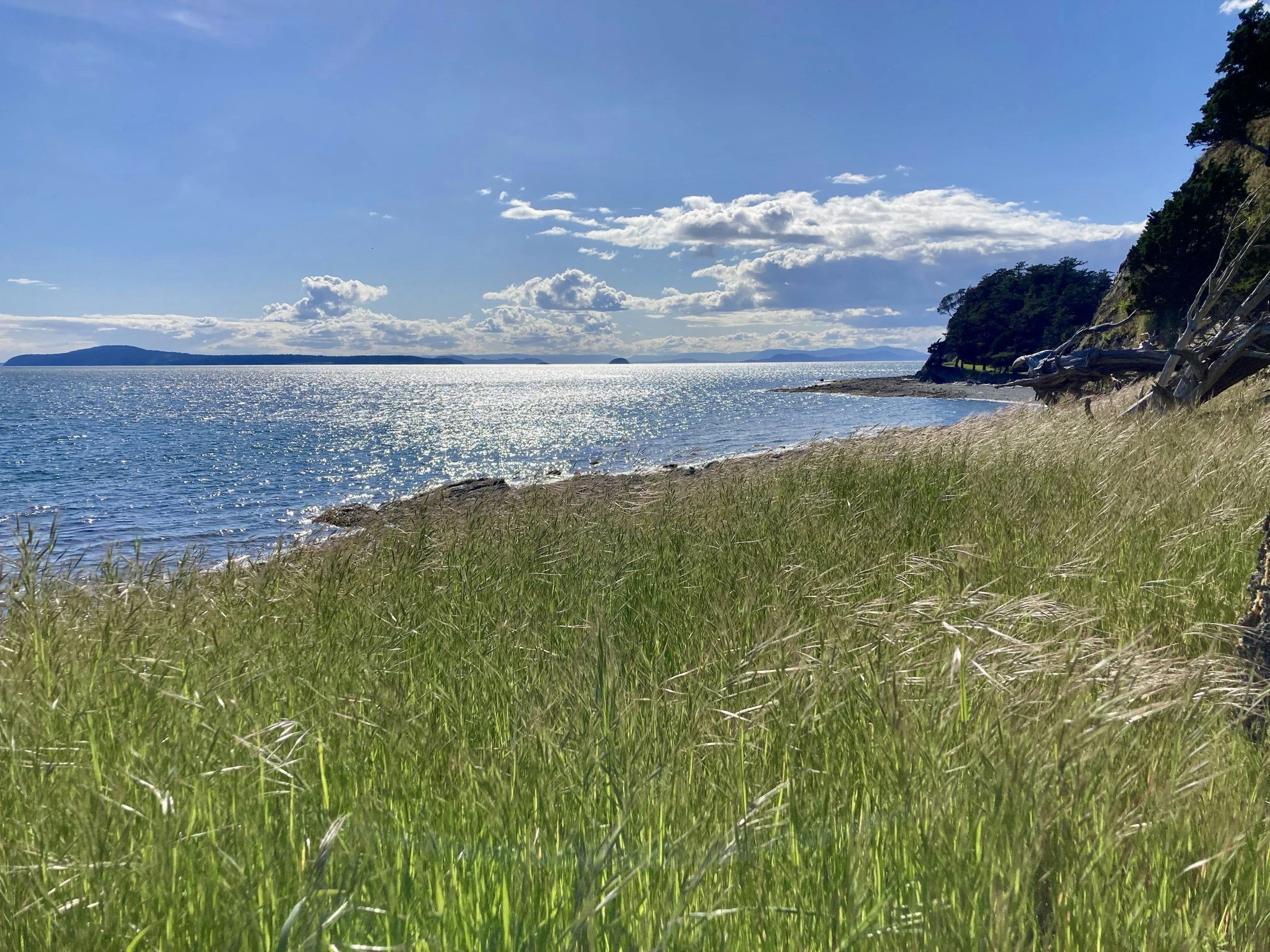 SDA and Quiet Skies to Co-Host Orcas Island Community Forum