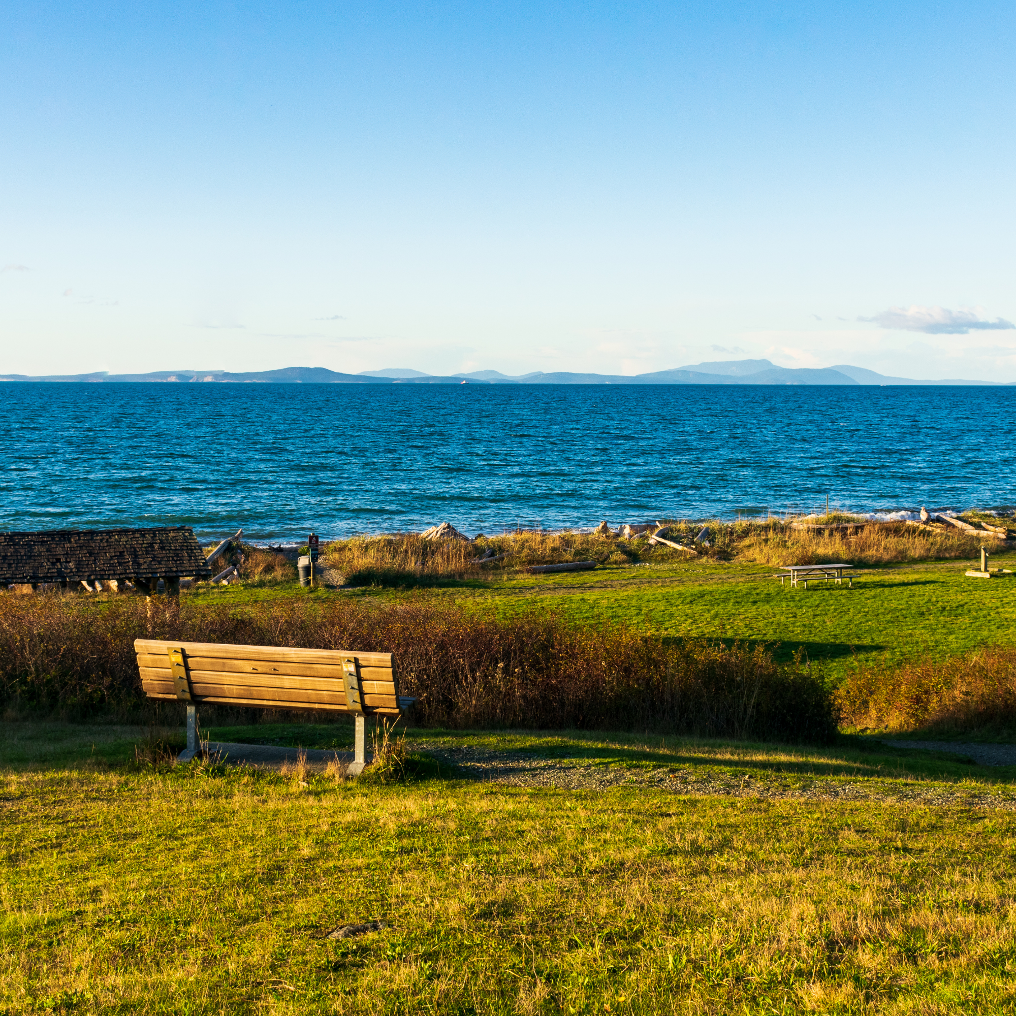 COVID-19 Press Release