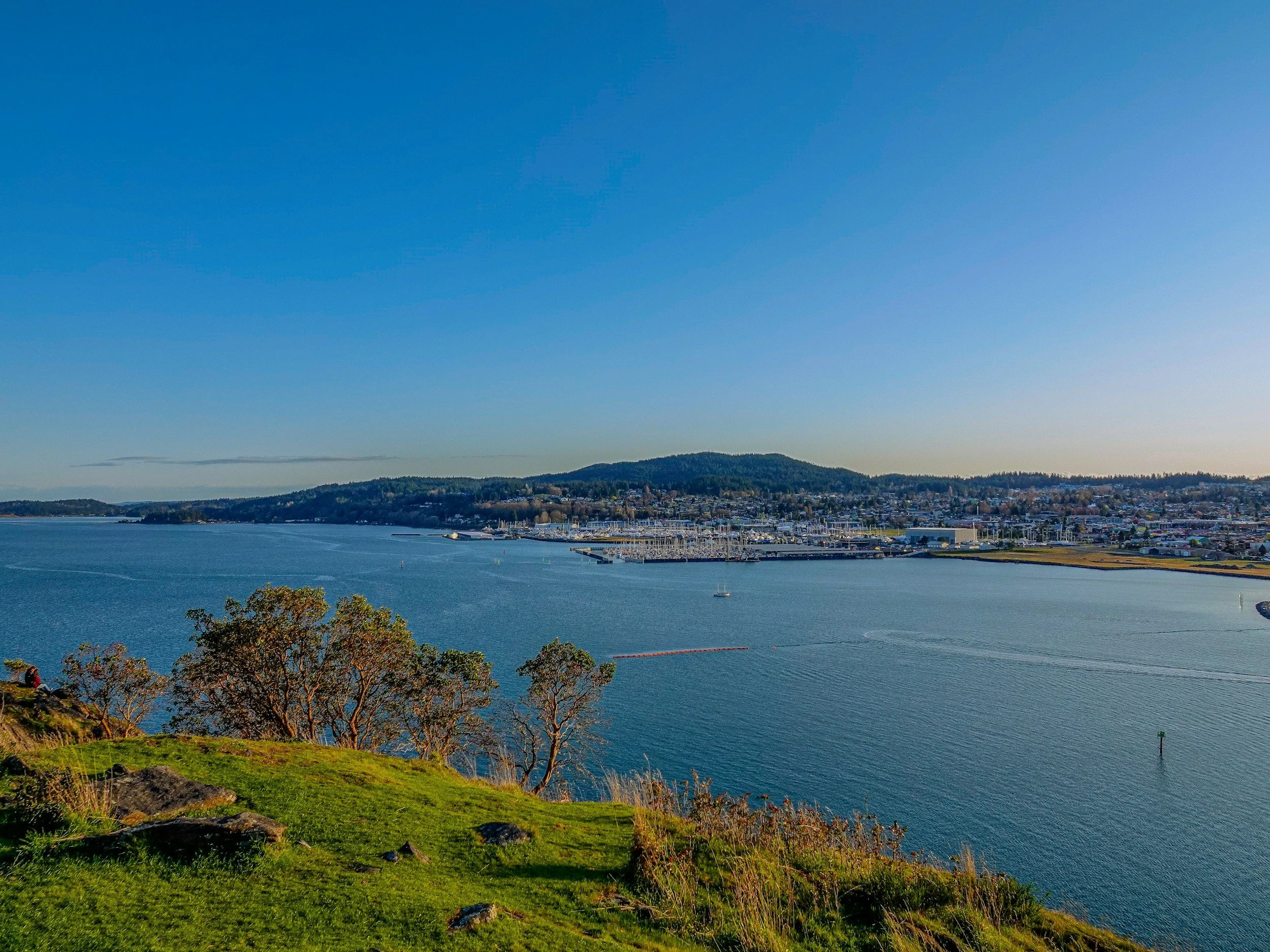 Elected Officials Respond to Navy