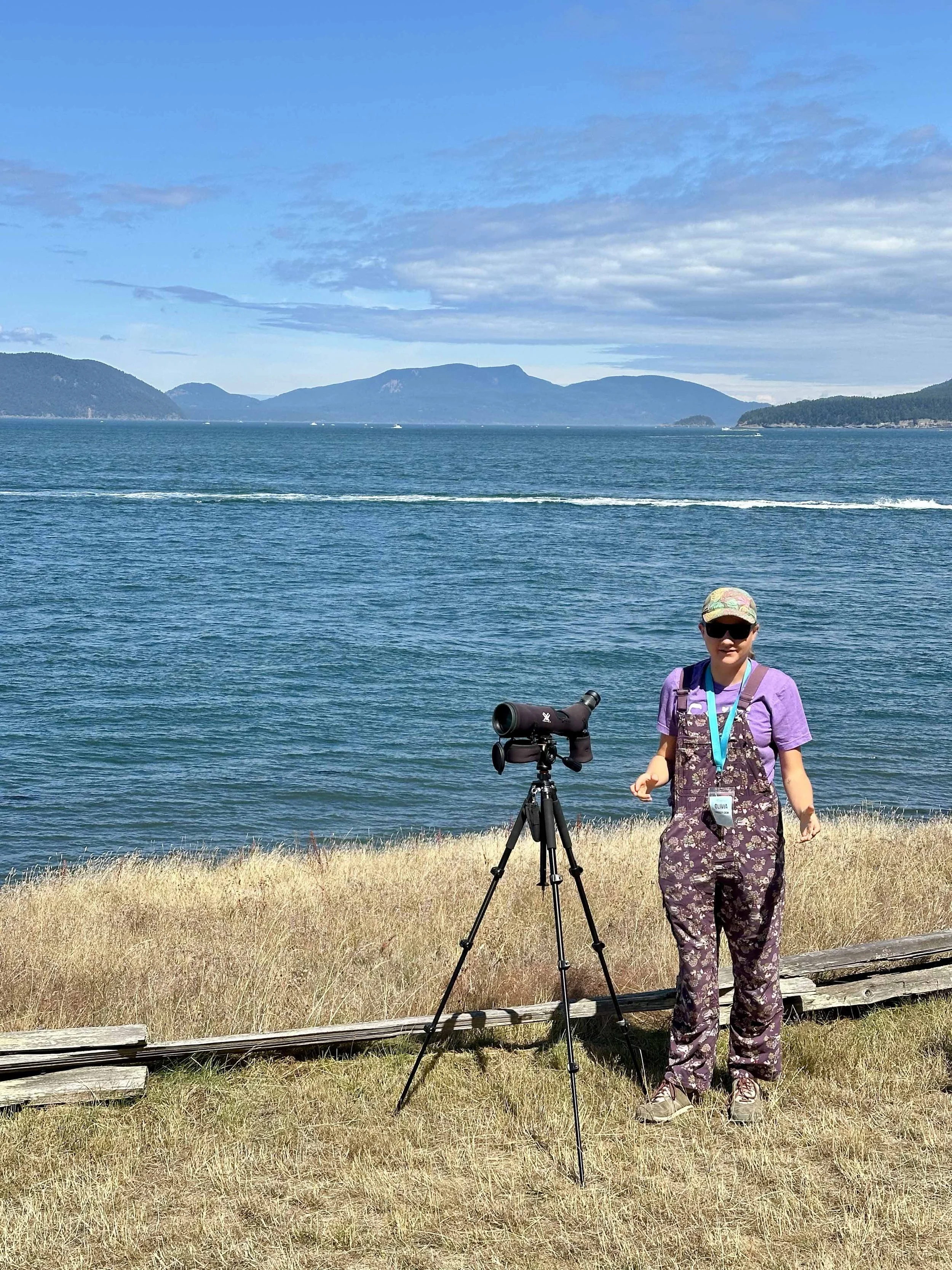 Marbled Murrelet Bird Survey