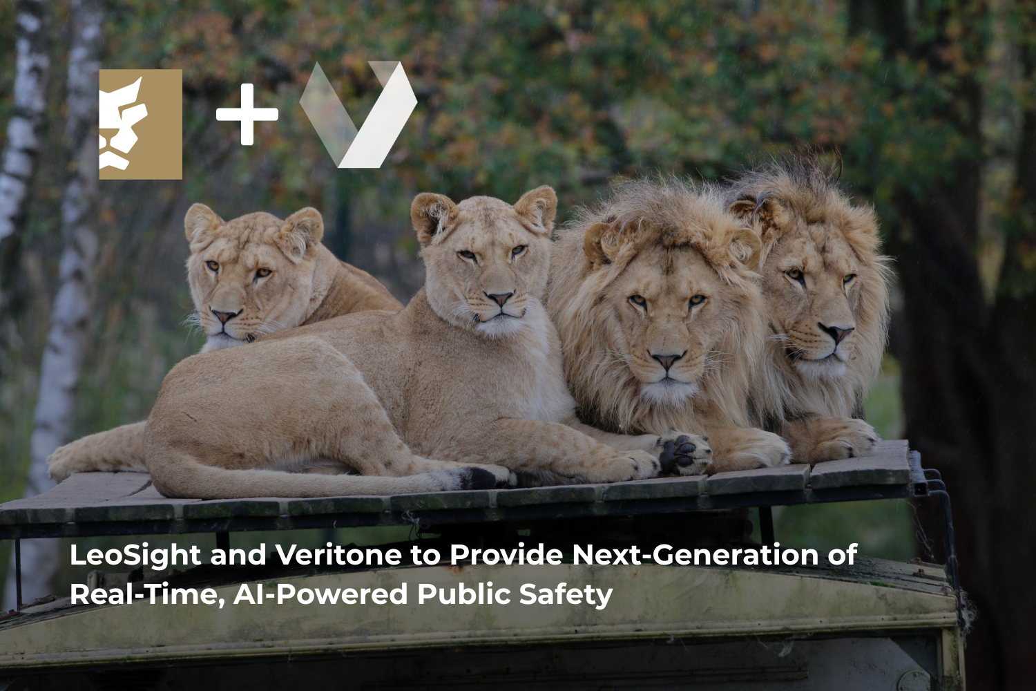 LeoSight and Veritone to Provide Next-Generation of Real-Time, AI-Powered Public Safety