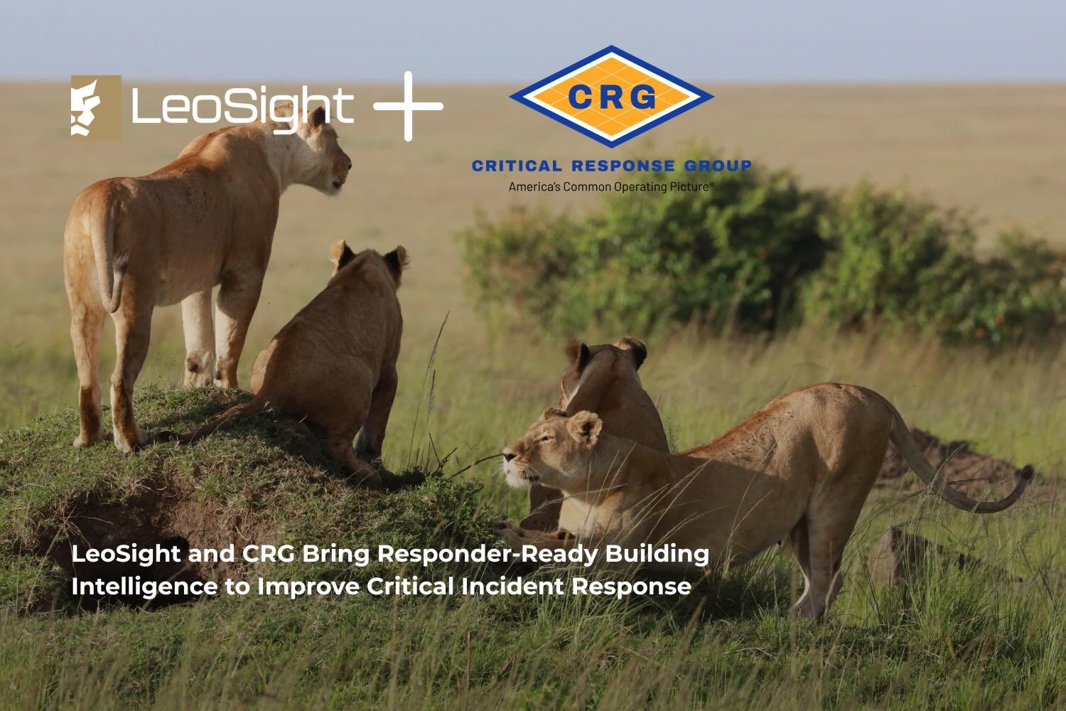 LeoSight and CRG Bring Responder-Ready Building Intelligence to Improve Critical Incident Response