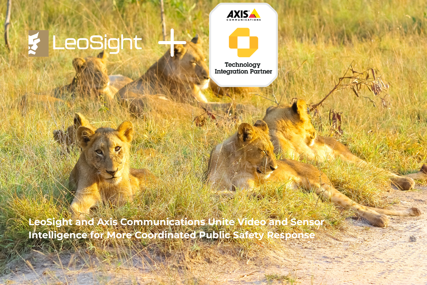 LeoSight and Axis Communications Unite Video and Sensor Intelligence for More Coordinated Public Safety Response