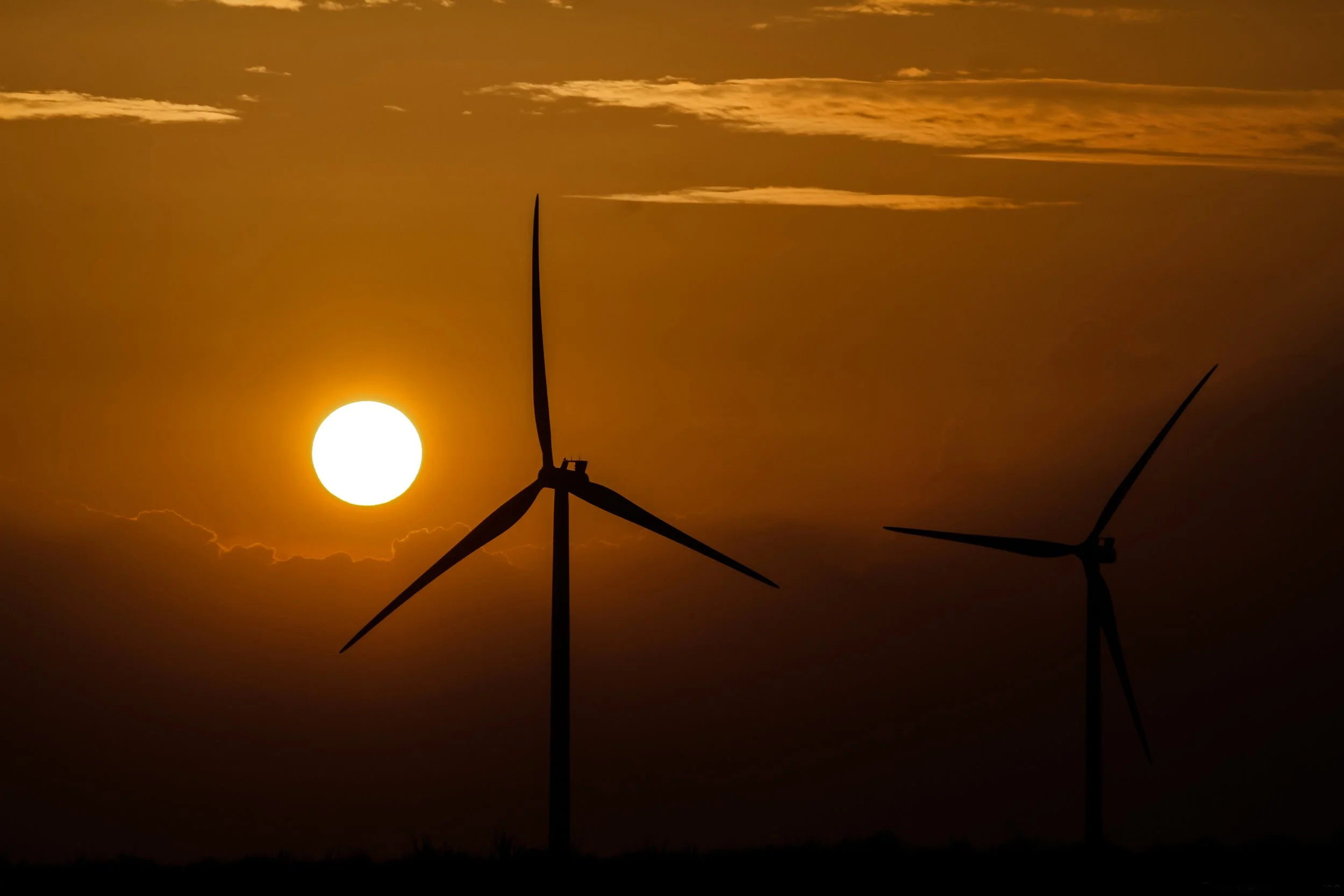 Image description for accessibility