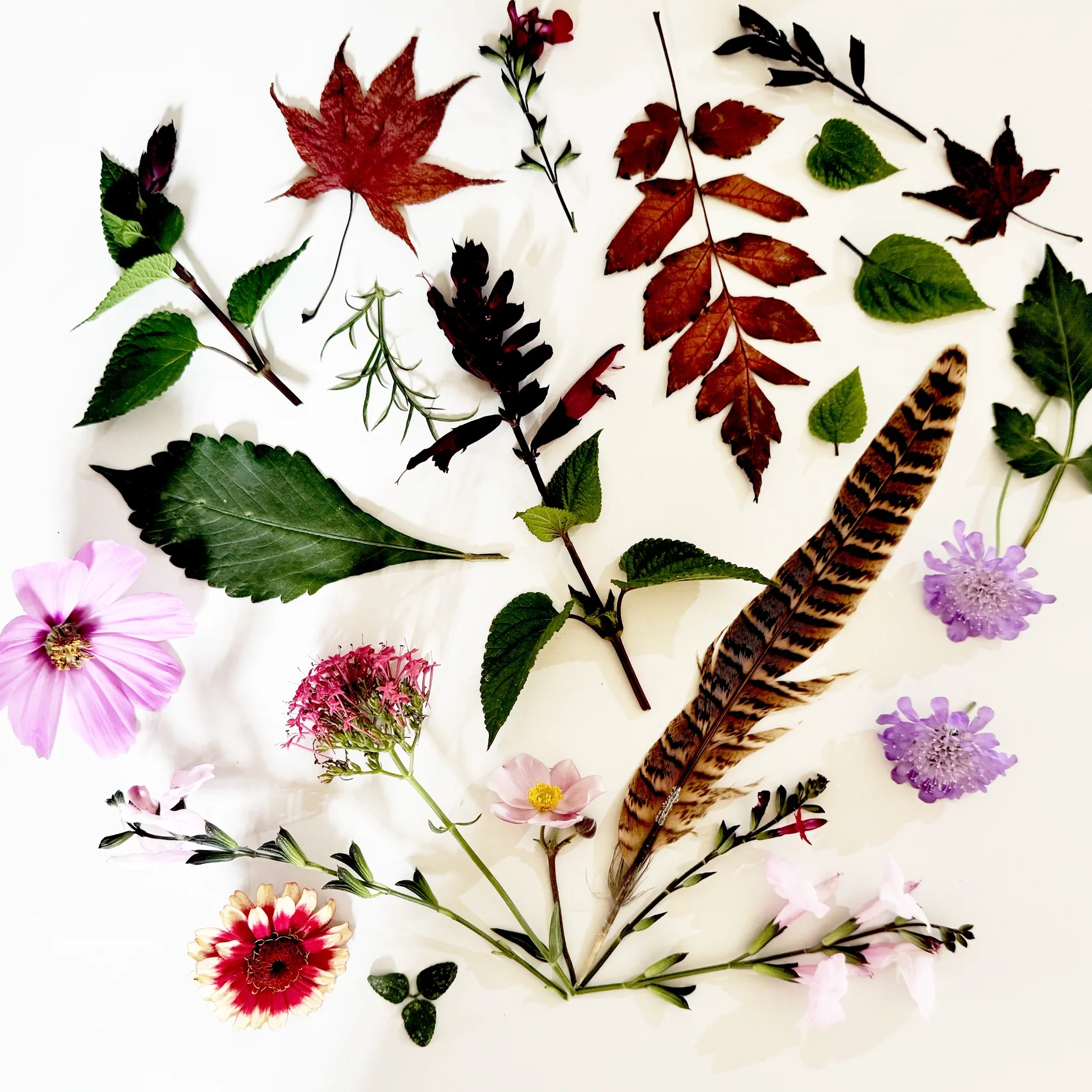 Autumn Mindful Art Workshop - LA Art Collective