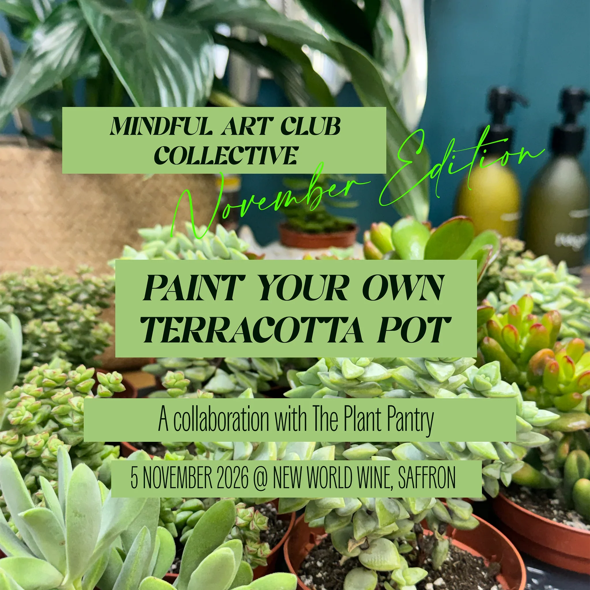 Paint Your Own Plant Pot - LA Art Collective