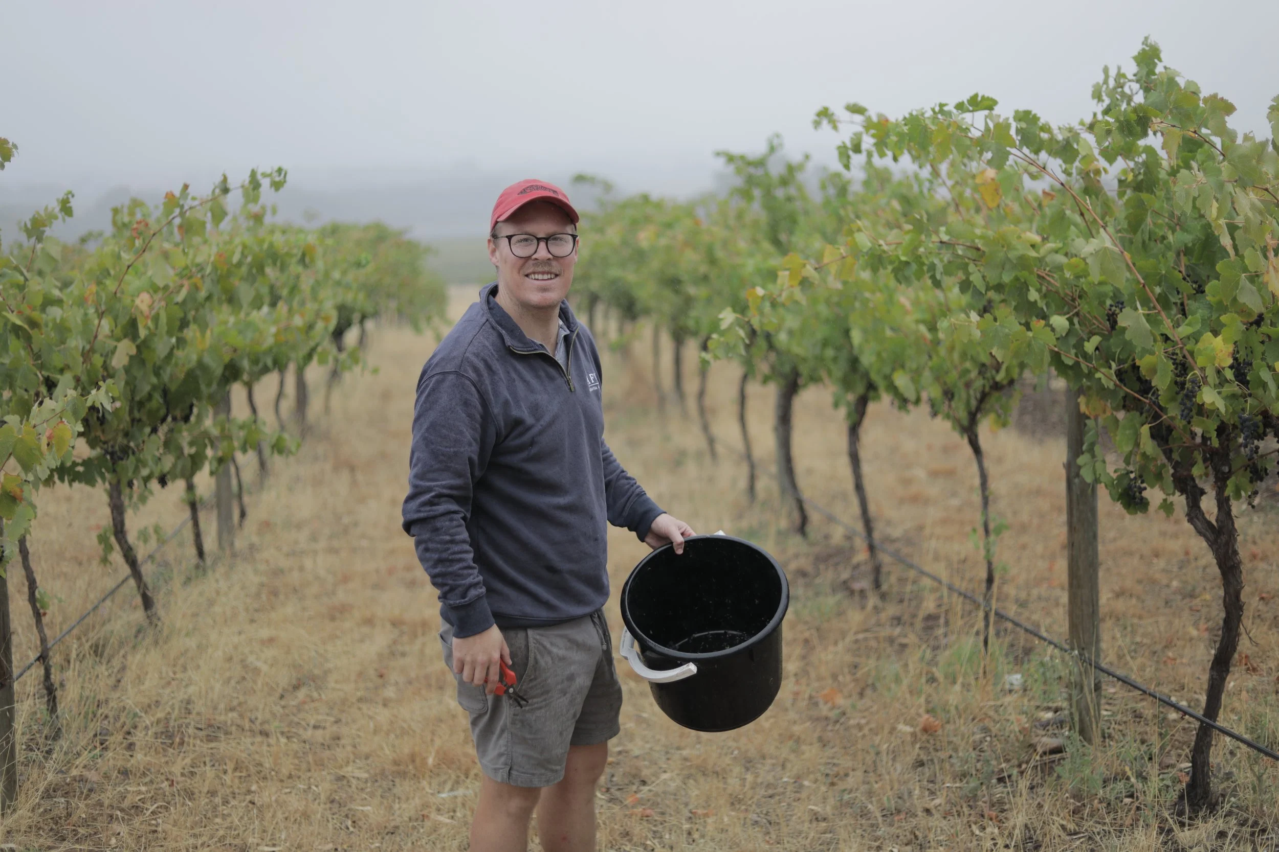 Dinner & Tasting with Auld Family Wines