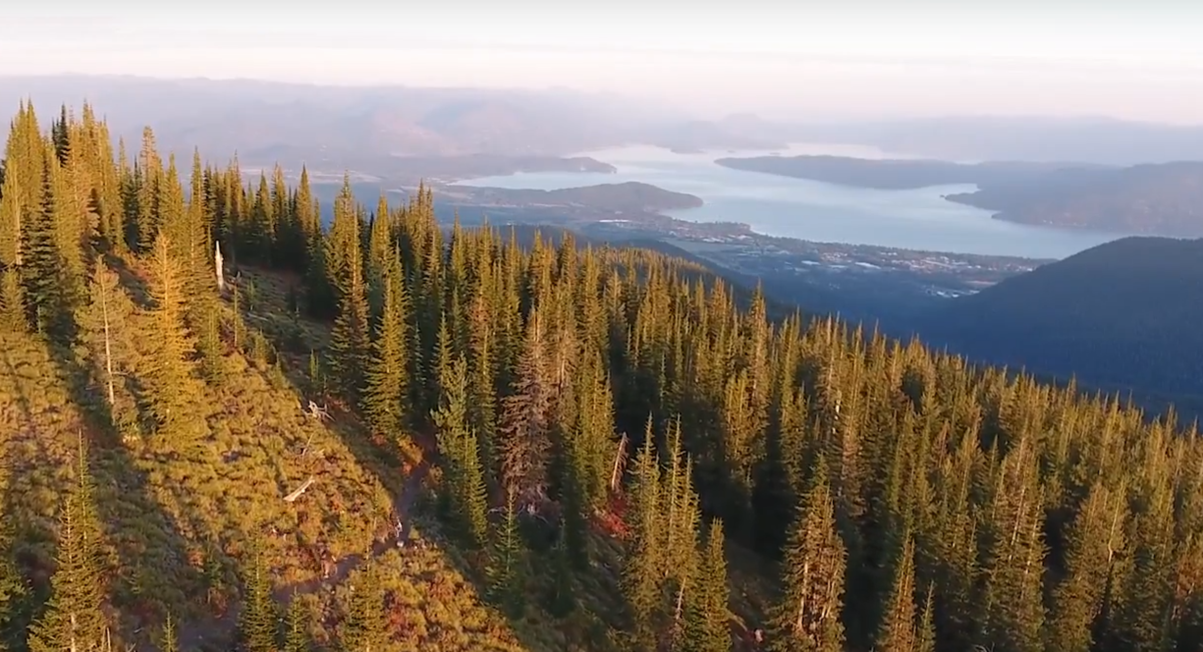 NRTP Follow-Up Meeting