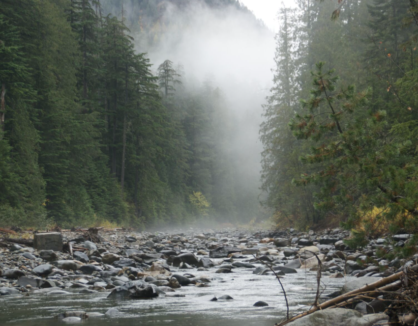 🔥 About the Lightning Creek Fire