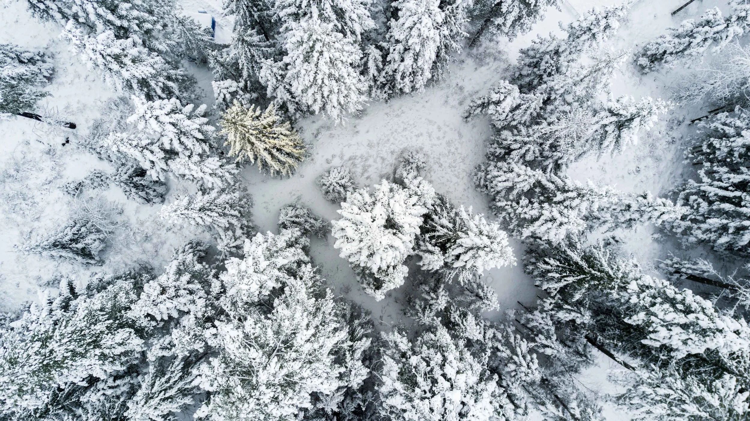 Public Trails Meeting