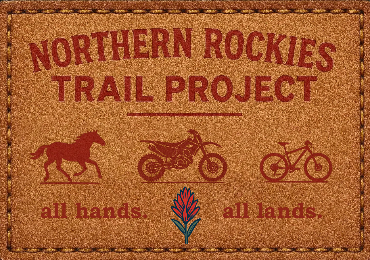 NRTP levi jean patch only.png