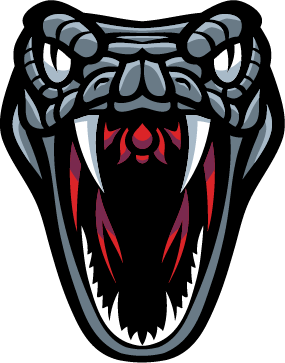 Manchaca Mambas Baseball