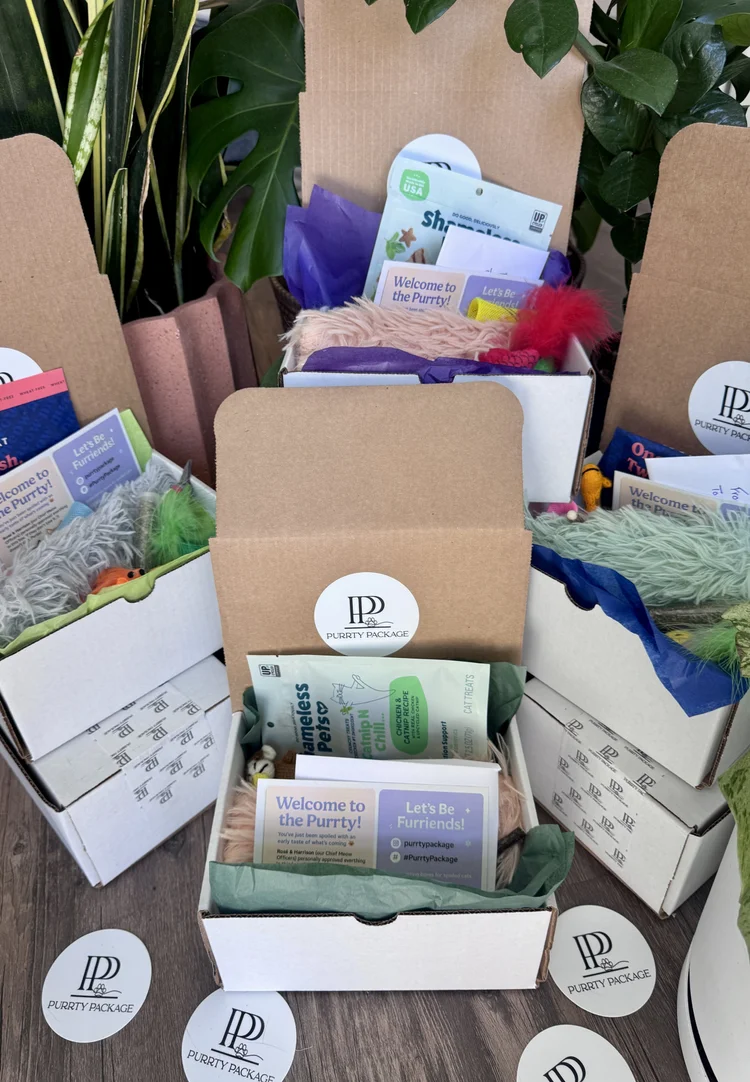 Purrty Package boxes with toys