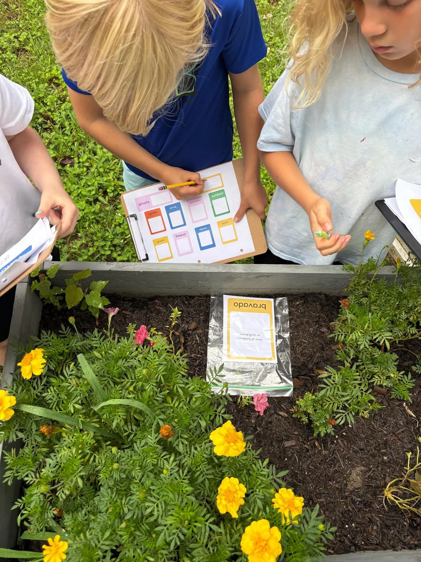 Cooler temperatures equal more opportunities to take our learning outdoors. 🌲 ✏️