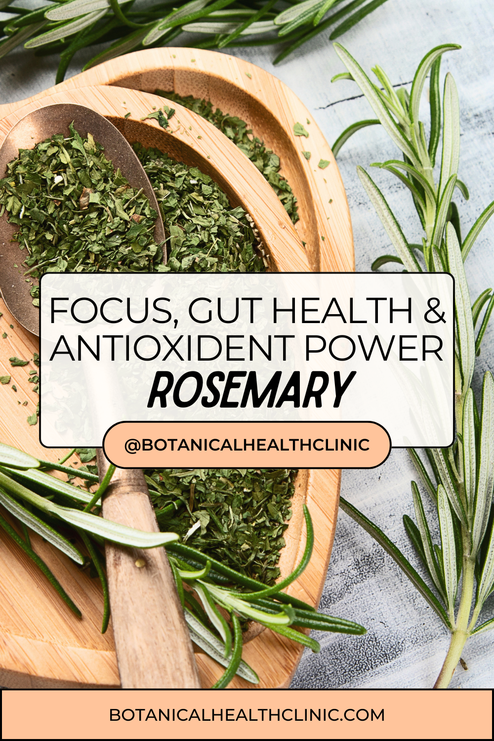 Rosemary: The Herb for Focus, Gut Health, and Antioxidant Power