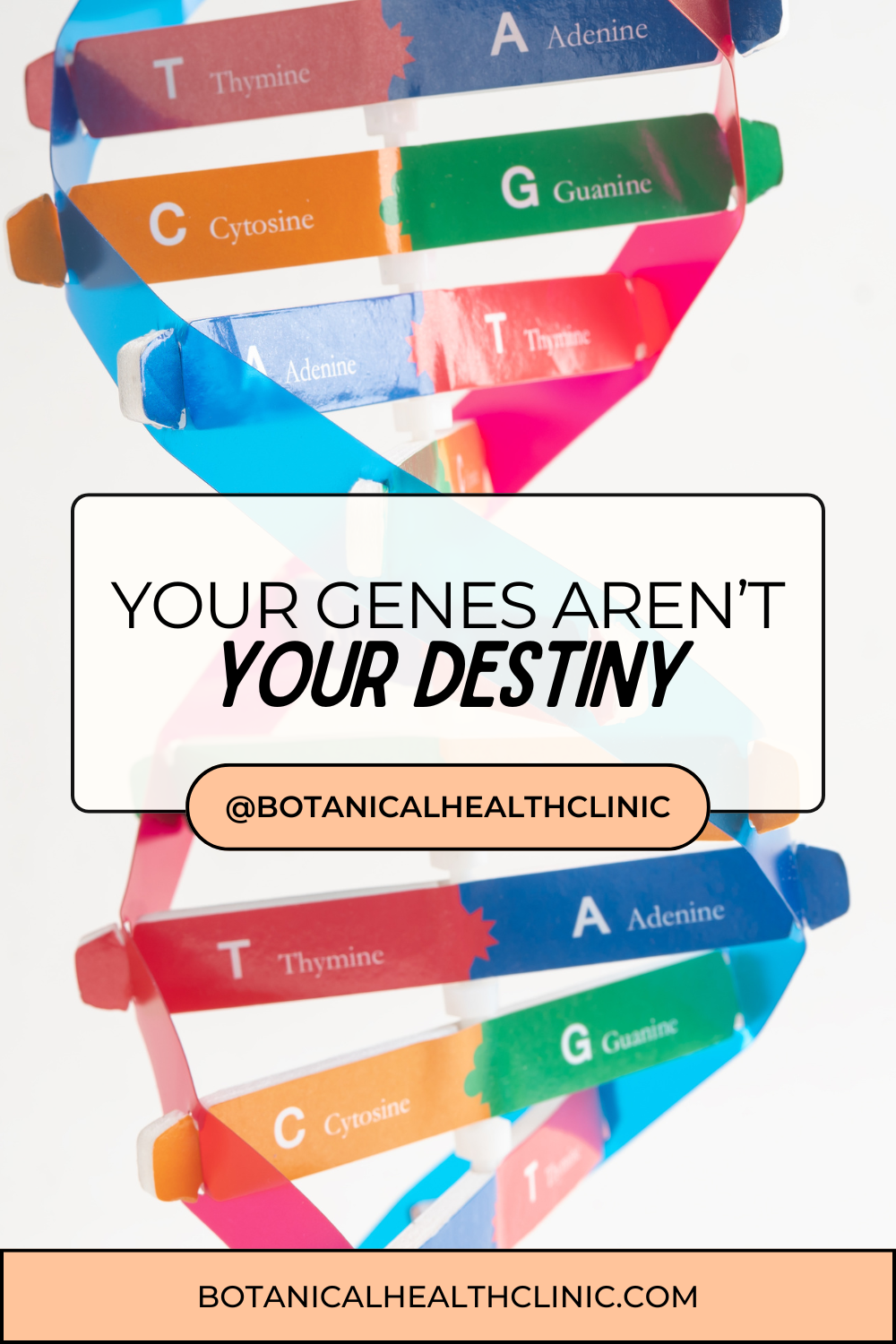 Your Genes Aren't Your Destiny, But They Are a Roadmap