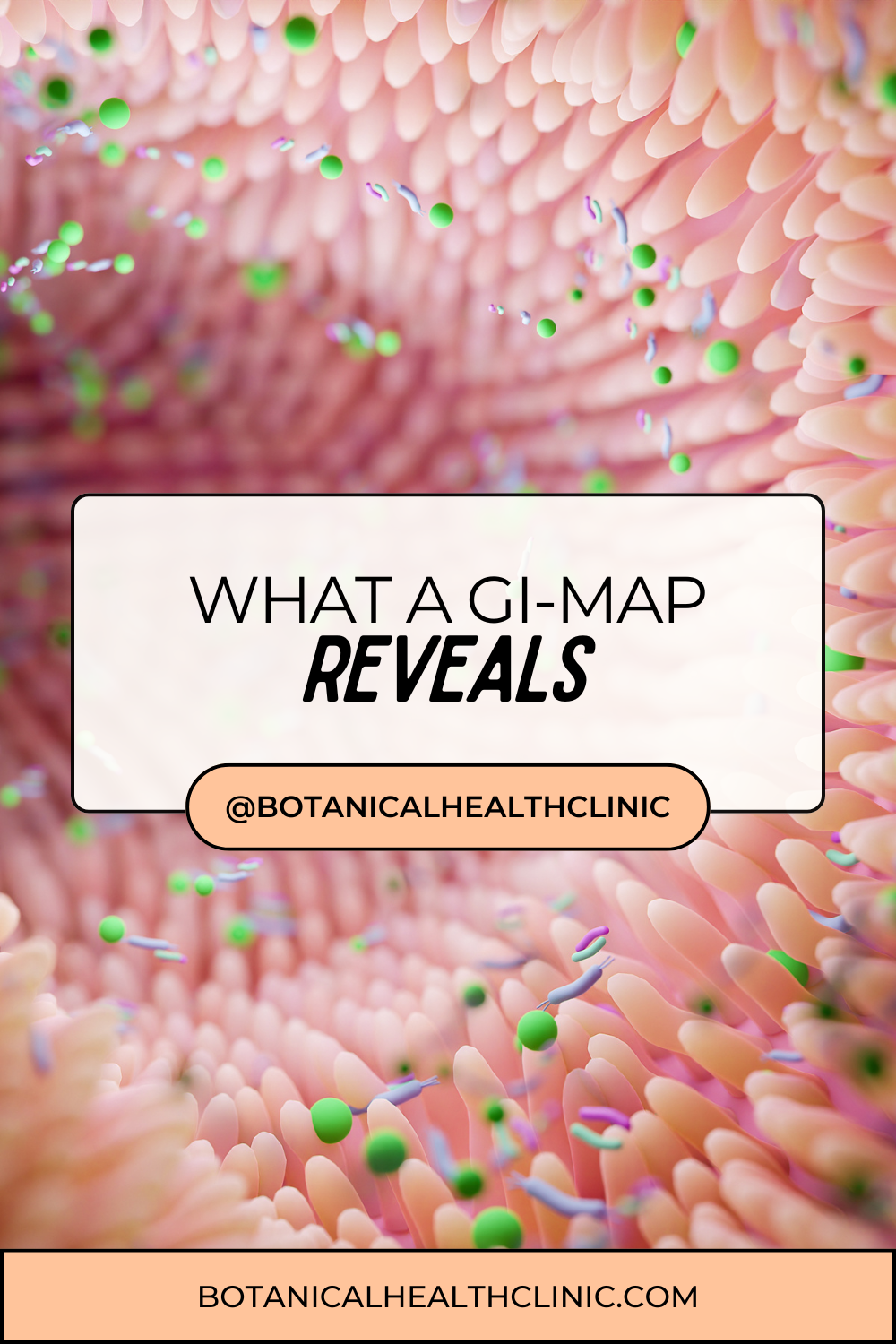 What a GI-MAP Reveals That a Standard Stool Test Misses