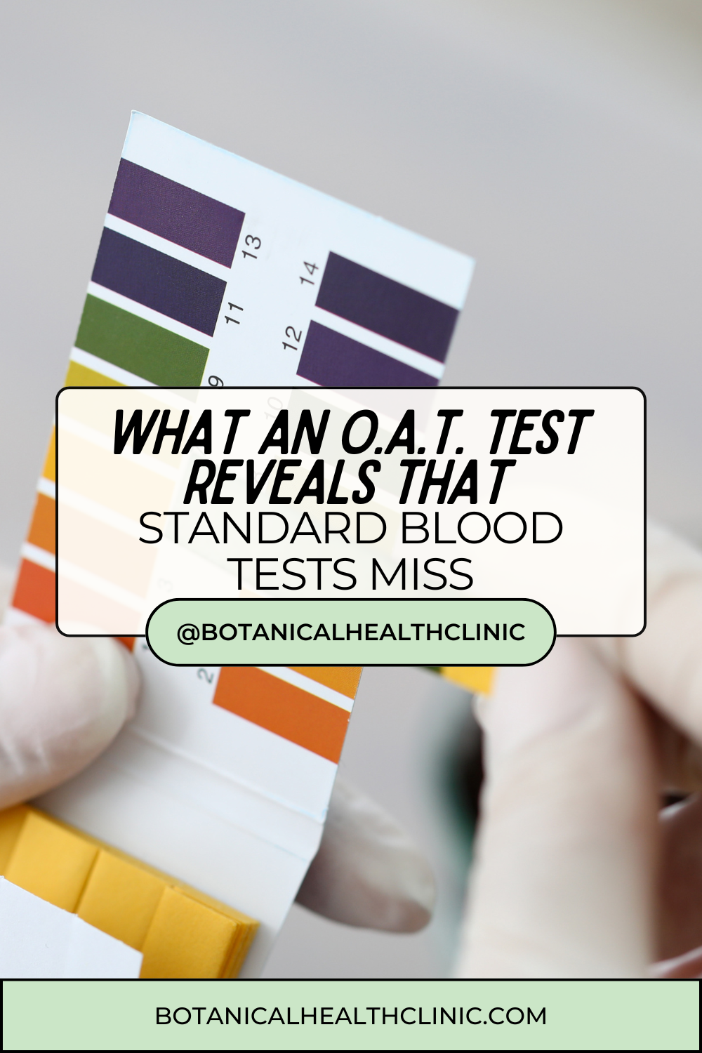What an Organic Acids Test Reveals That Standard Blood Work Misses