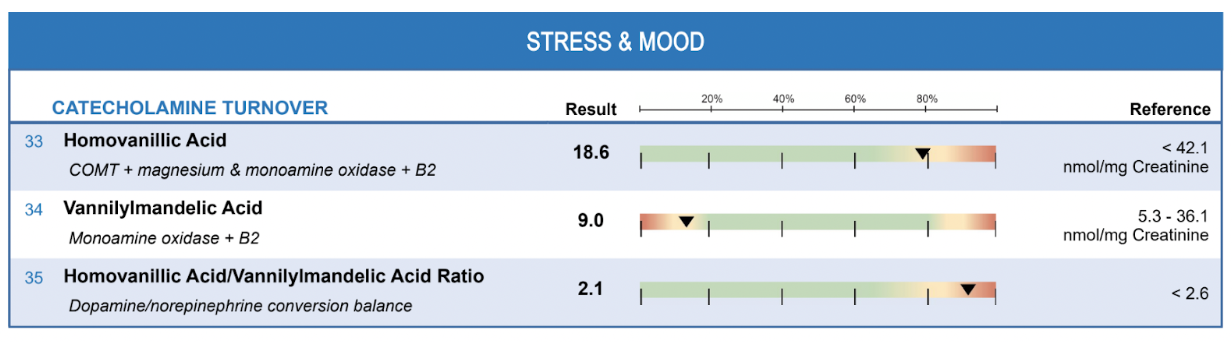 The Organic Acids Profile also provides markers related to neurotransmitter metabolism and stress physiology.