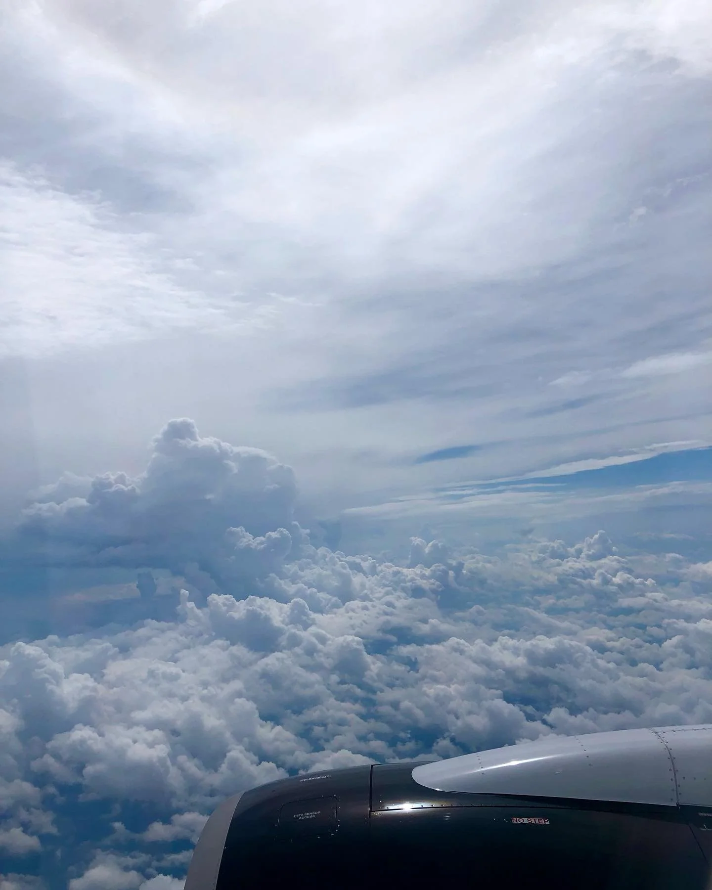 flight

&ldquo;We will never achieve the freedom that birds have, but we sure as hell can try&rdquo;
- Someone, probably