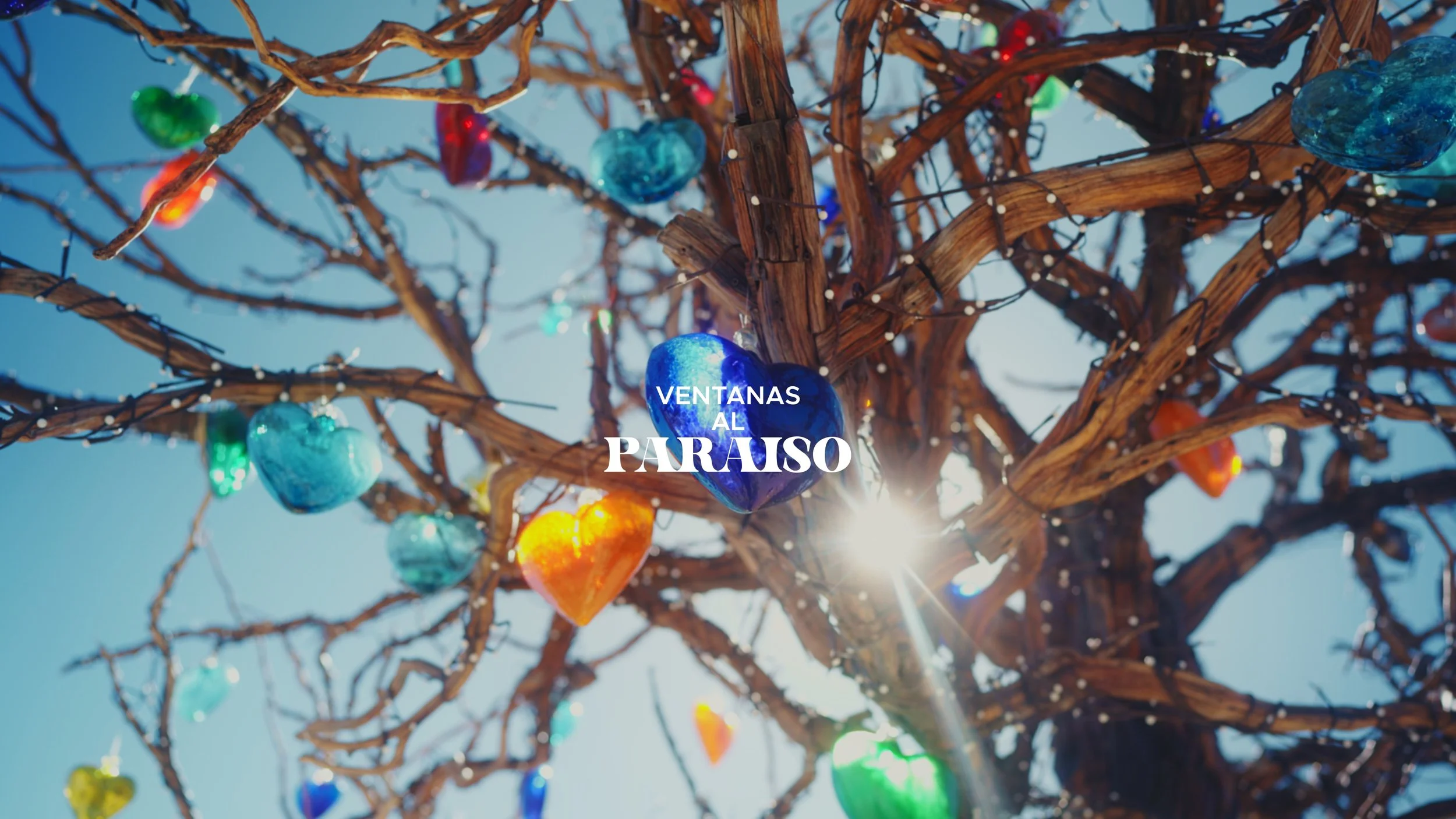 Timeline 7_01_00_00_04.jpg