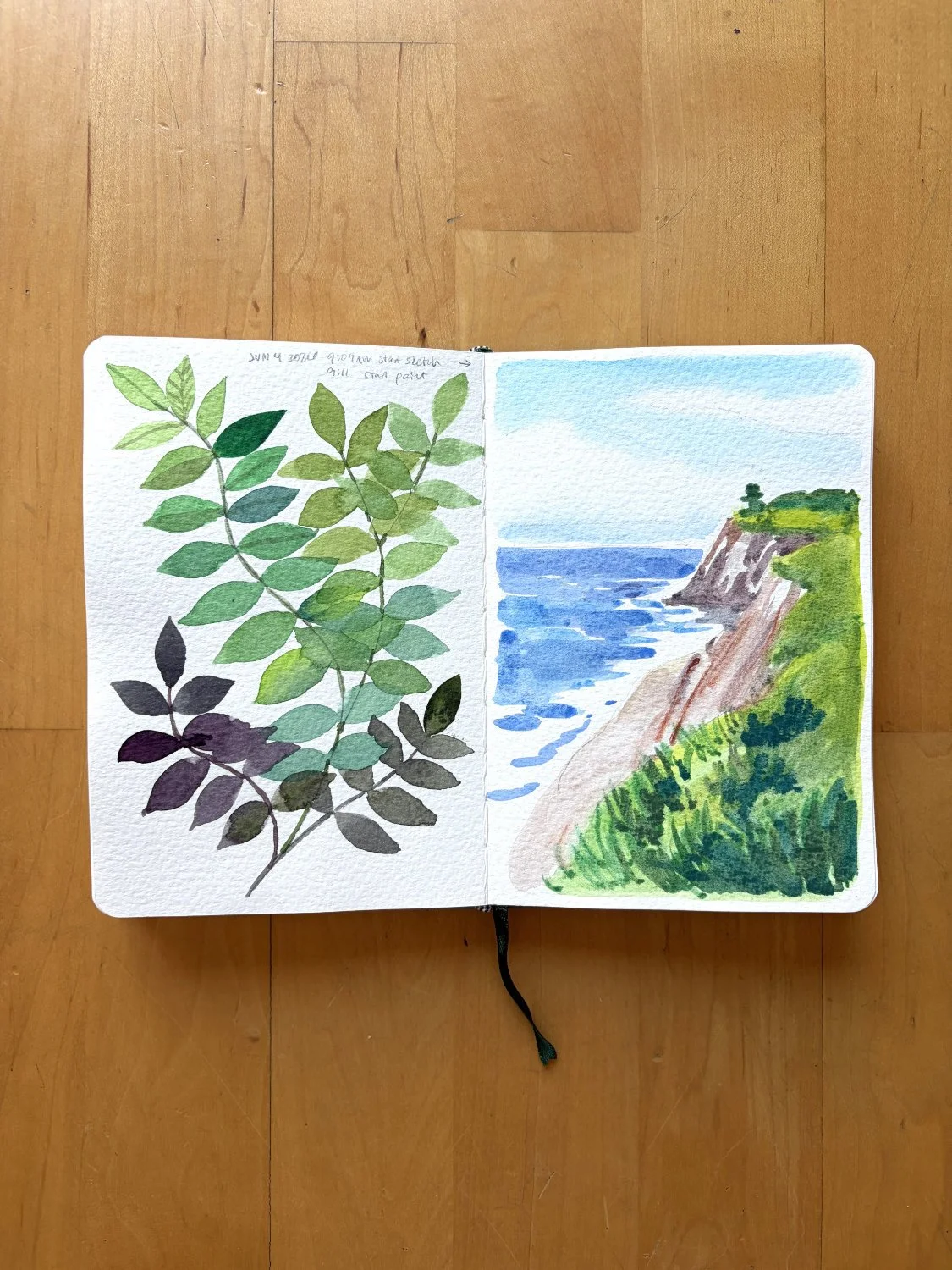 Cassie-Zhang-Arver_relaxing-watercolor-painting-nature-inspired-themes_floral-landscape-plant-food-abstract_68.jpg