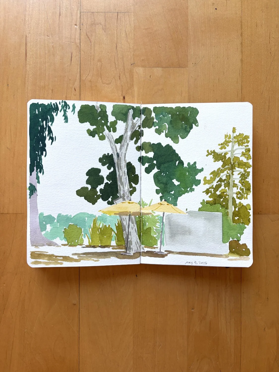 Cassie-Zhang-Arver_relaxing-watercolor-painting-nature-inspired-themes_floral-landscape-plant-food-abstract_69.jpg