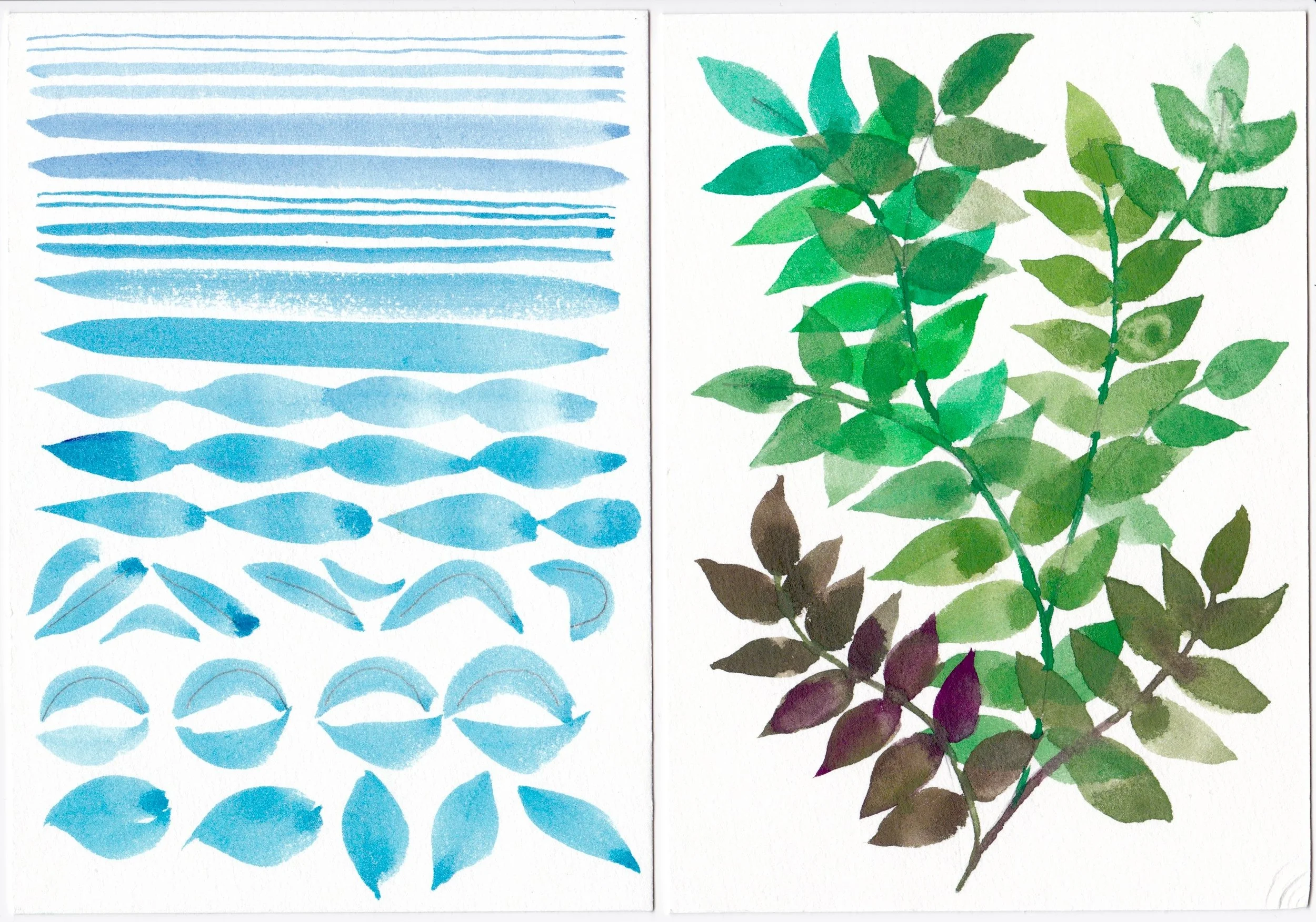 watercolor-class-painting_floral.jpeg