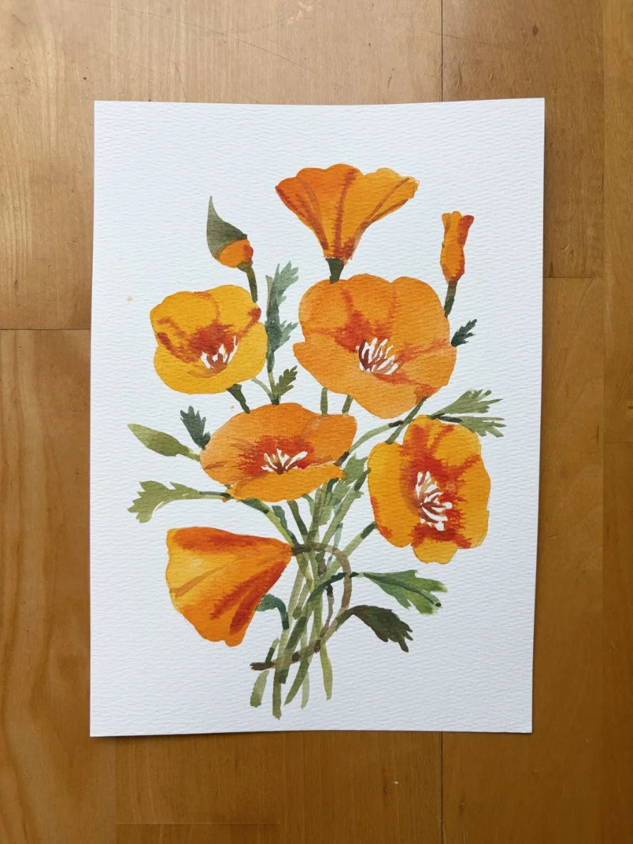 Poppies