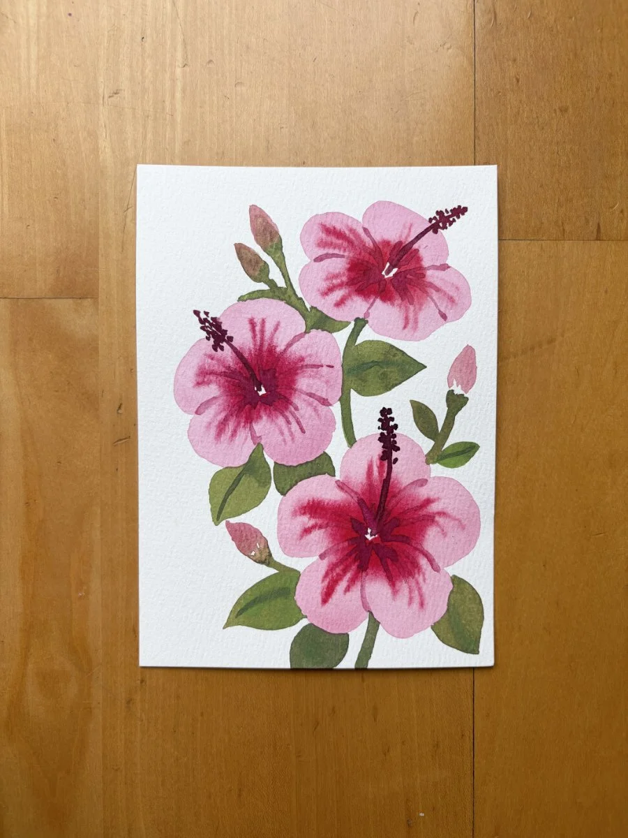 Hibiscus