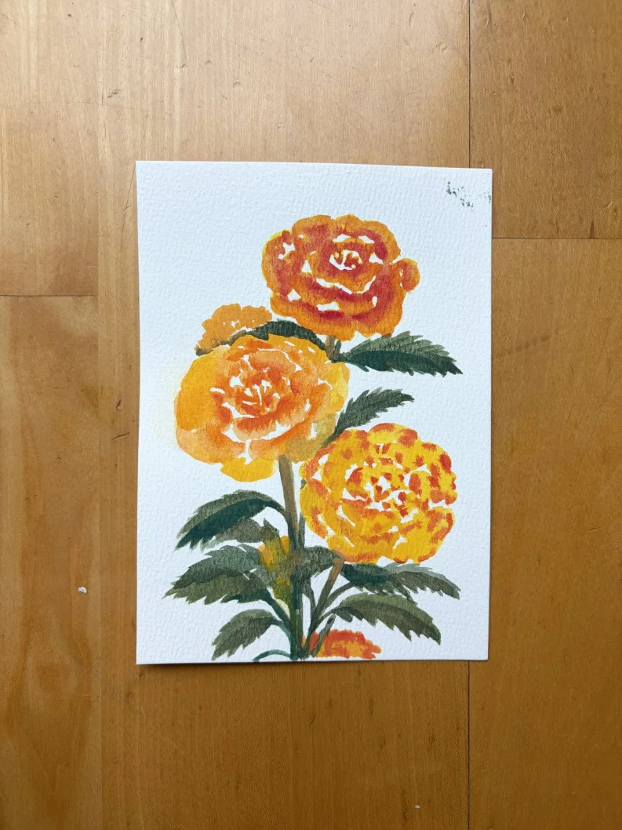 Marigolds