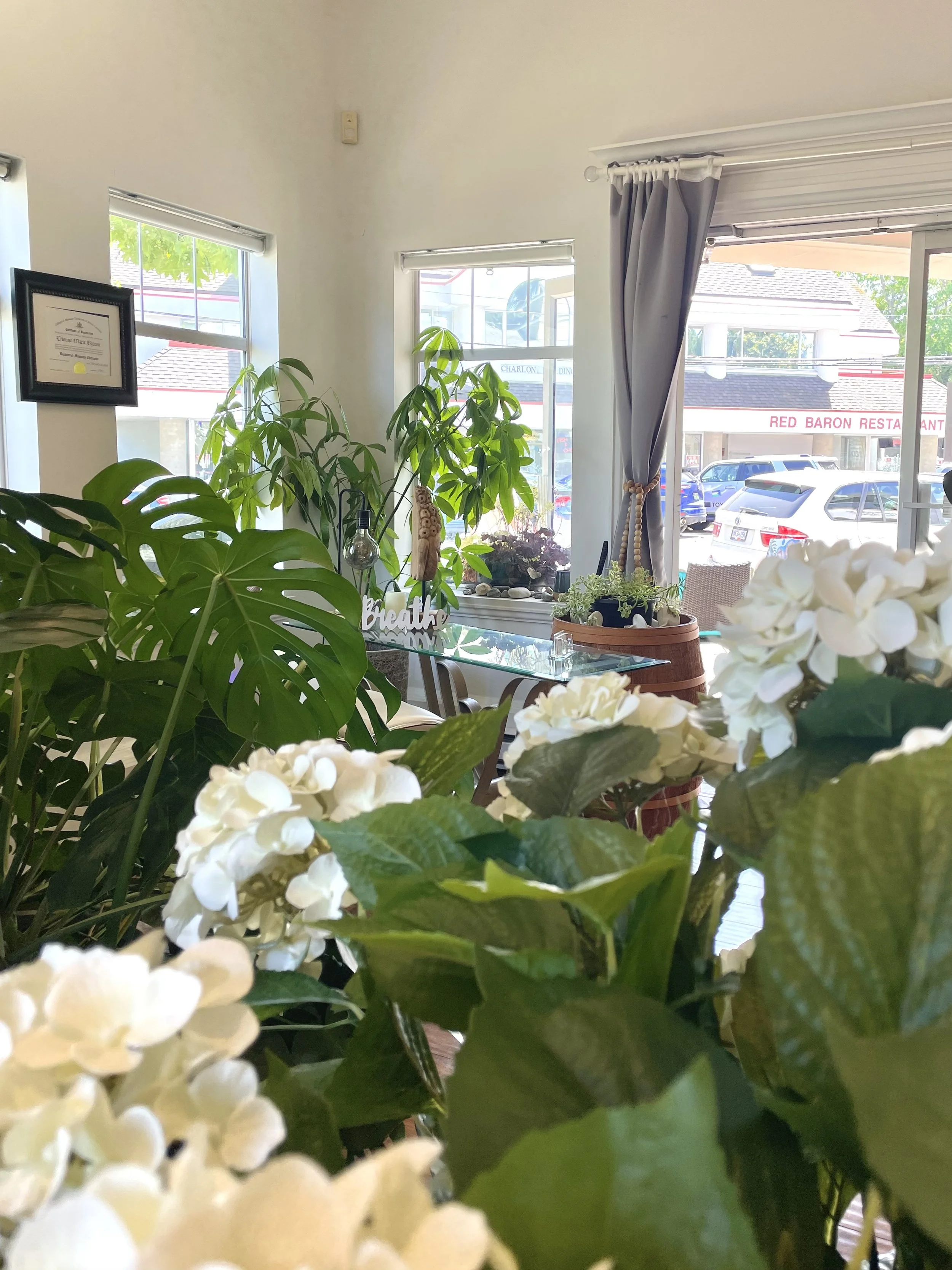 Interior of a room with green plants, white hydrangeas, a window, and a framed certificate on the wall.
