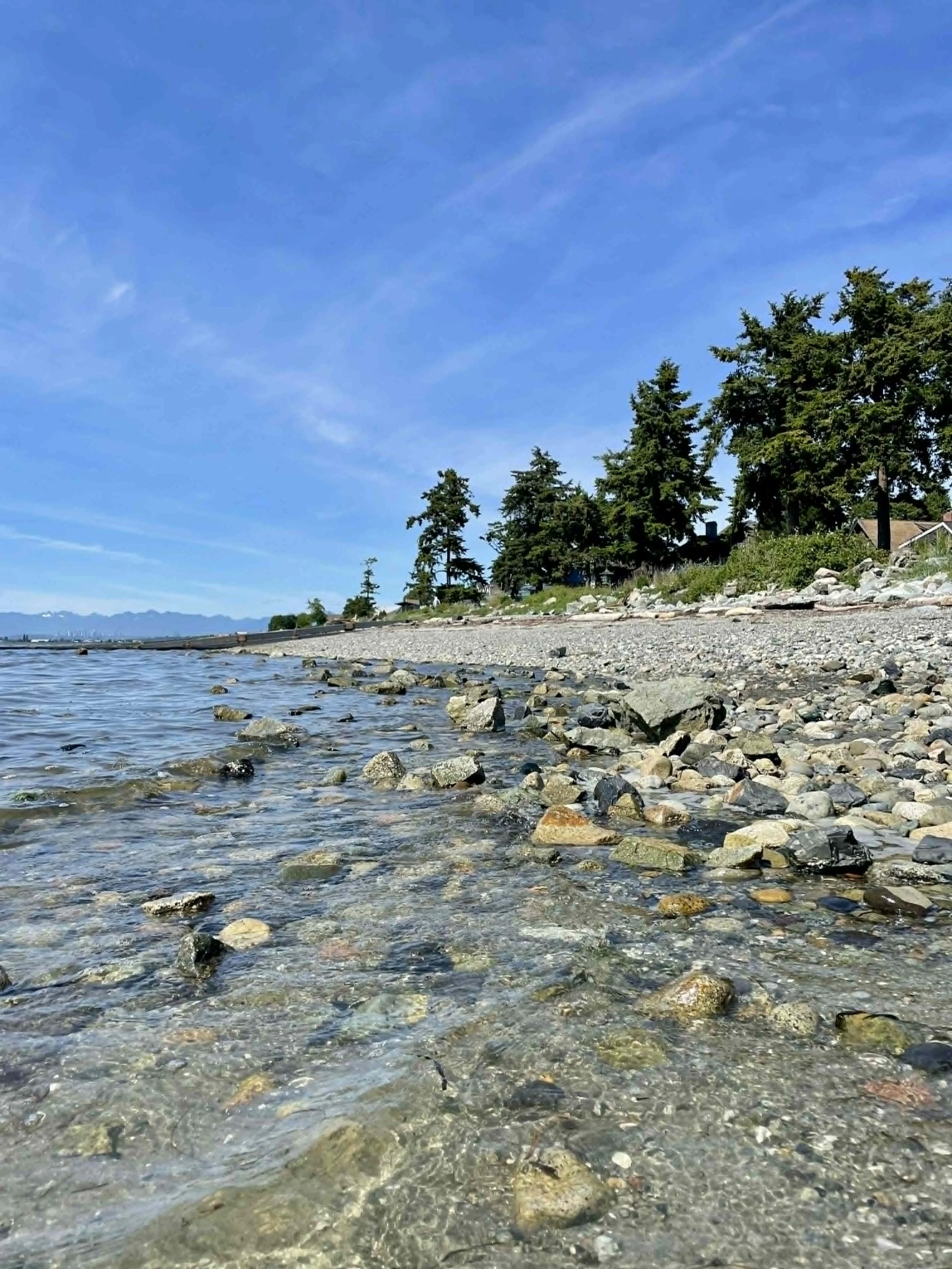 A rocky shoreline next to calm water with trees and a few houses in the distance under a clear blue sky.