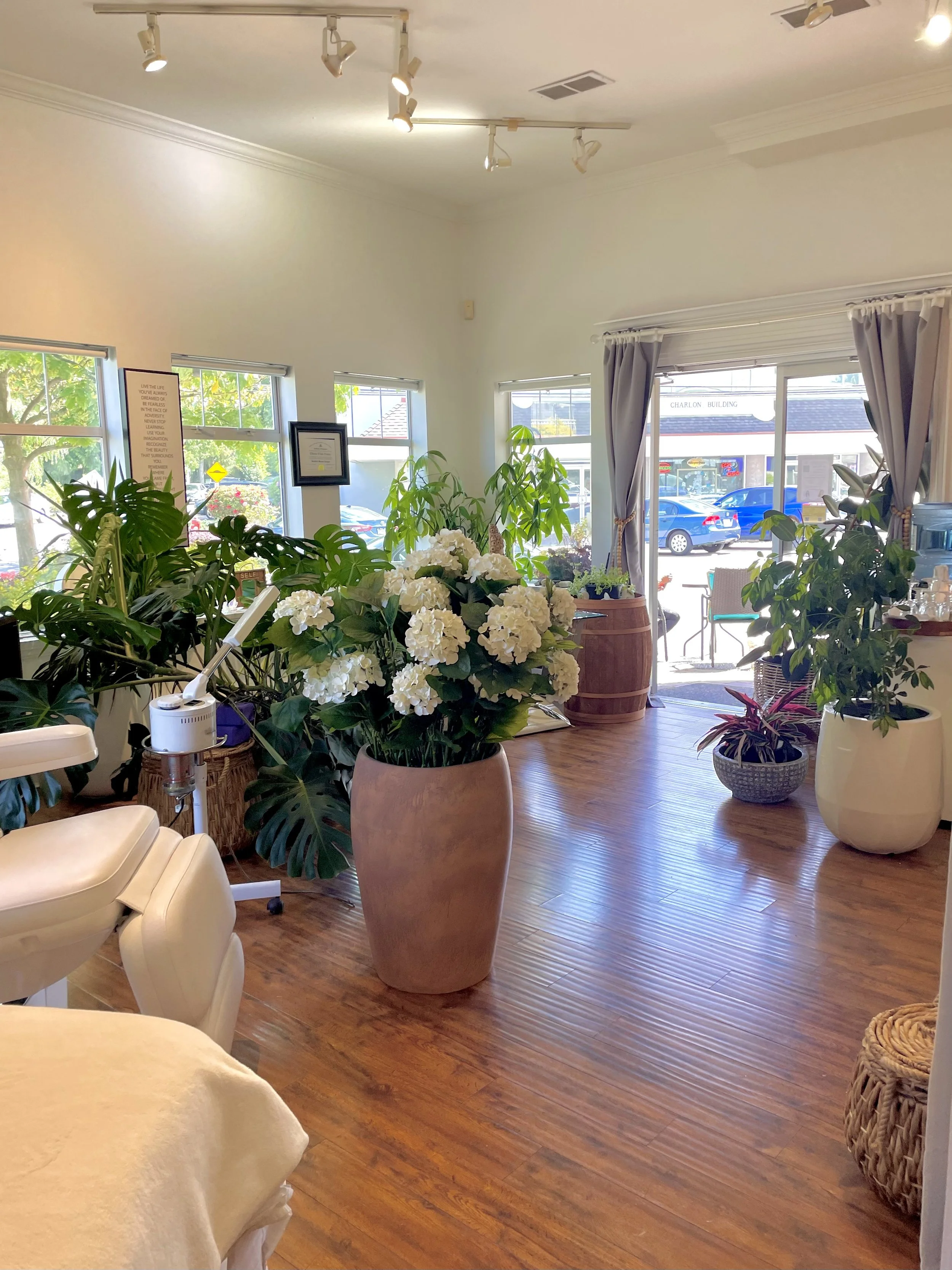 Inside a cozy cafe or boutique with wooden floors and an assortment of potted plants, flowering plants, and armchairs near windows, with sunlight streaming through window curtains.
