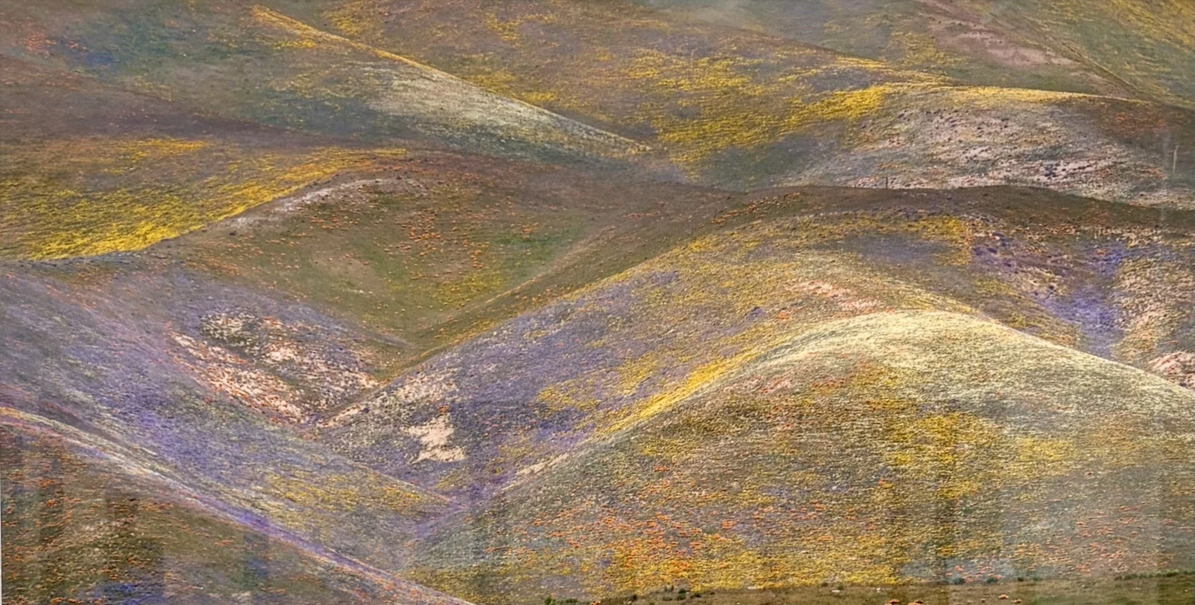 Gorman 1/3