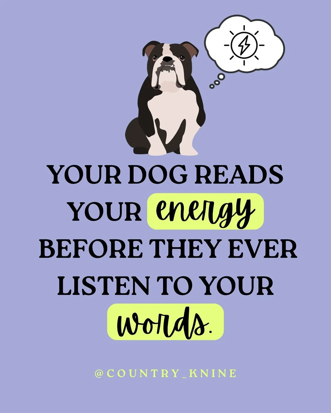 Your dog reads your energy before they ever listen to your words.

This is where so many owners get stuck. They think training is just about commands, or about being &ldquo;firm enough.&rdquo; But dogs don&rsquo;t need you to yell, and they don&rsquo