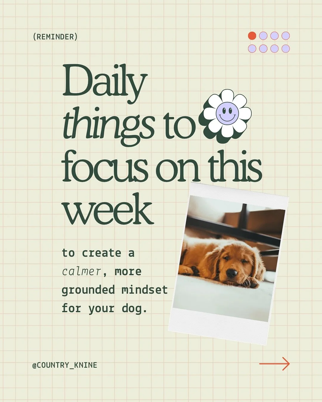 Happy Monday, everyone! 🍁☕️

Each week is a new chance to reset the tone &mdash; for you and your dog.
If last week felt chaotic, rushed, or disconnected, take a breath and start fresh.

A calm dog doesn&rsquo;t just &ldquo;happen.&rdquo; It&rsquo;s