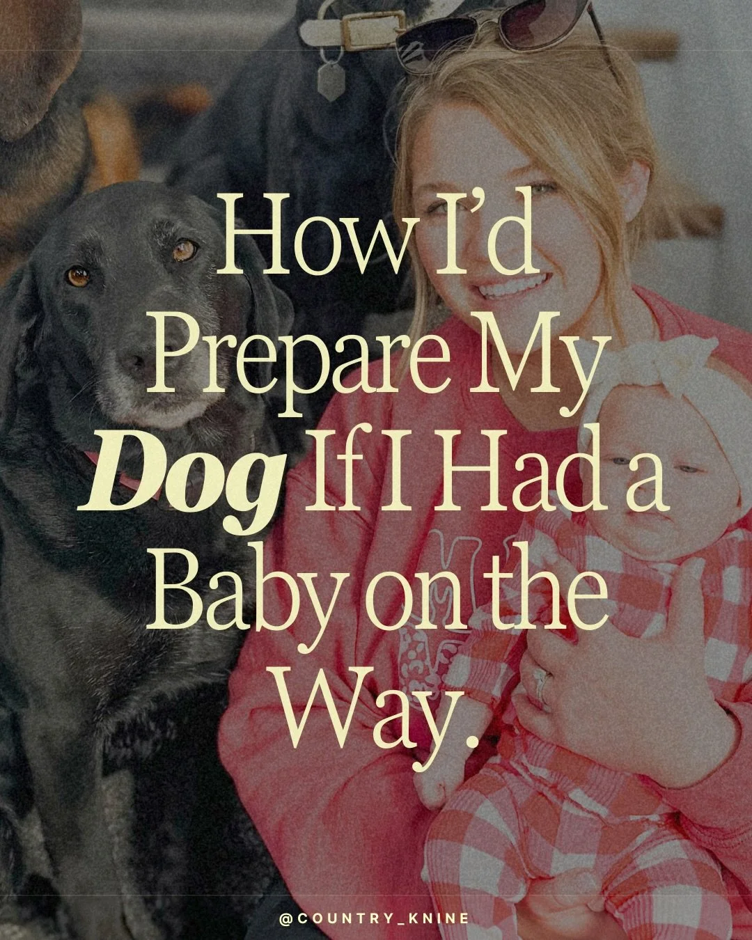 Coming from a trainer with 3 large breed dogs, a 2-year-old, and a baby on the way&hellip; Let me say this gently and honestly:

Preparing your dog for a new baby isn&rsquo;t about being &ldquo;strict.&rdquo;
It&rsquo;s about creating clarity, stabil