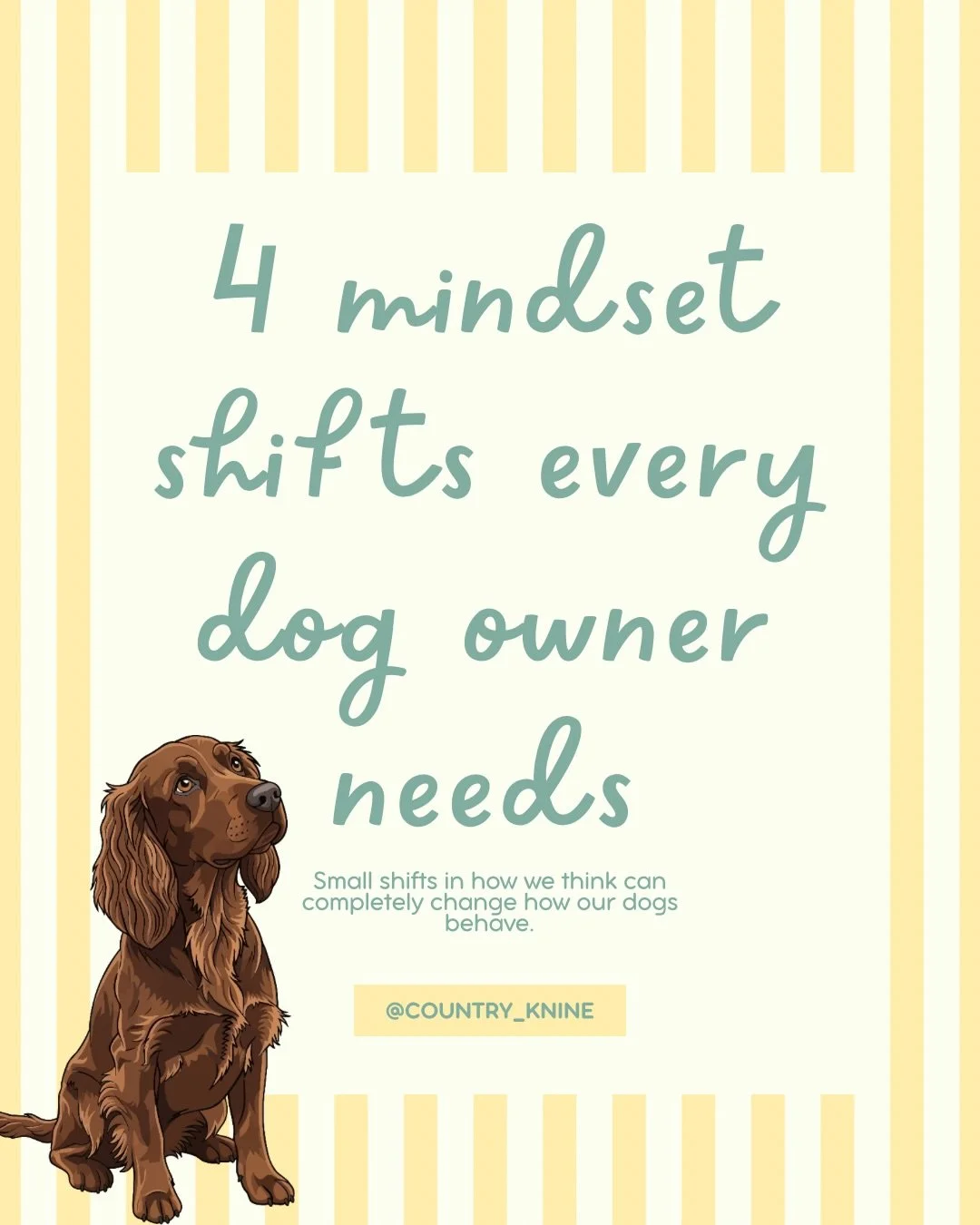 Most dog owners think better behavior comes from teaching more commands. In reality, the biggest changes usually happen when we change a few things first.

The small, everyday moments matter more than people realize. The way we follow through. The wa
