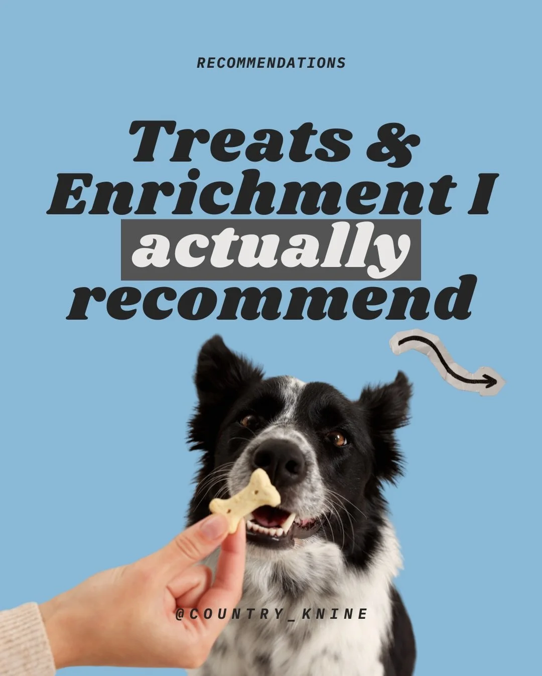 This isn&rsquo;t a replacement for real exercise or training.

But if you&rsquo;re slammed, tired, or stuck inside &mdash; this is how you keep your dog fulfilled instead of chaotic.

Use them intentionally. Stay consistent.

Everything I recommend i