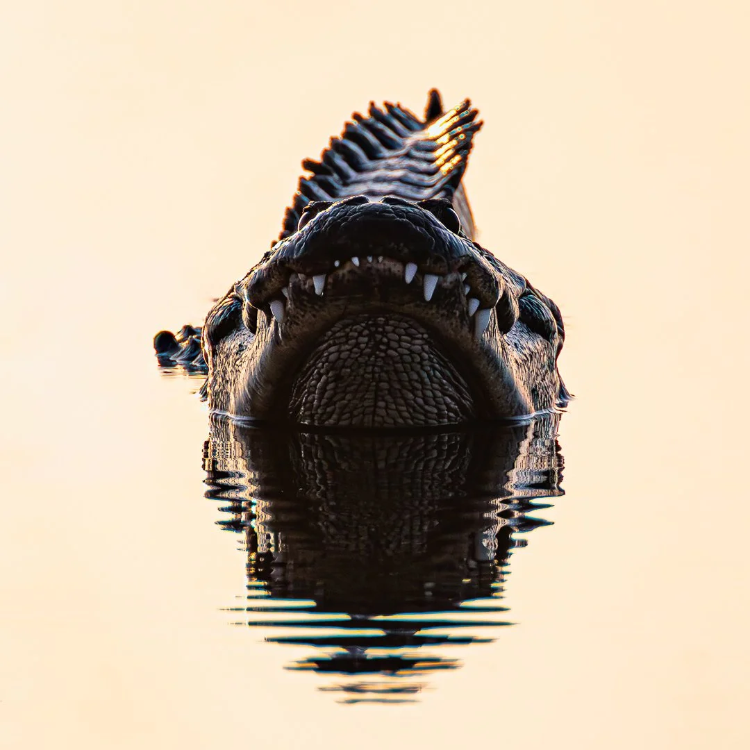 IMG_0519-2-Edit.jpg