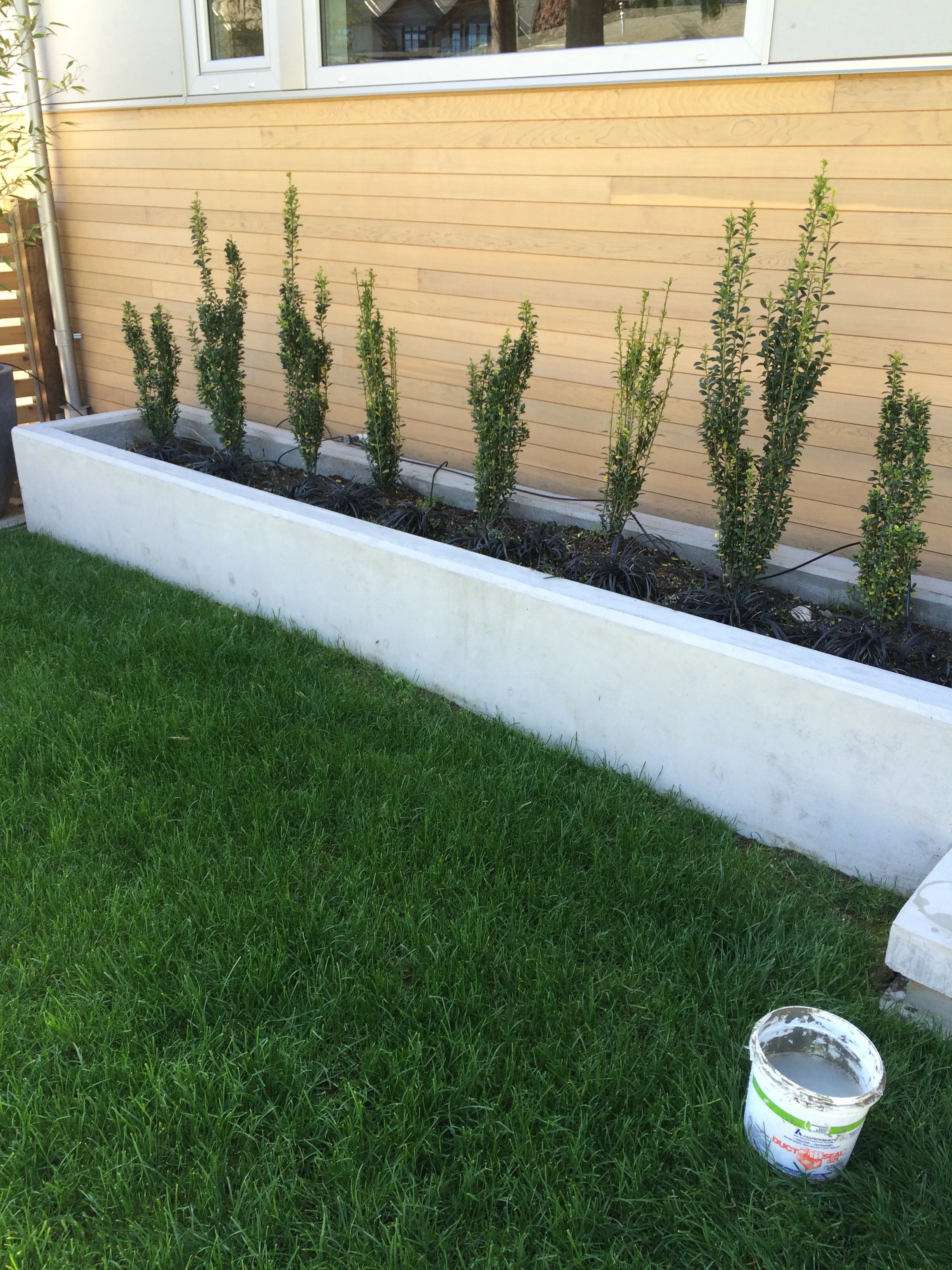 RESIDENTIAL PLANTER.jpg