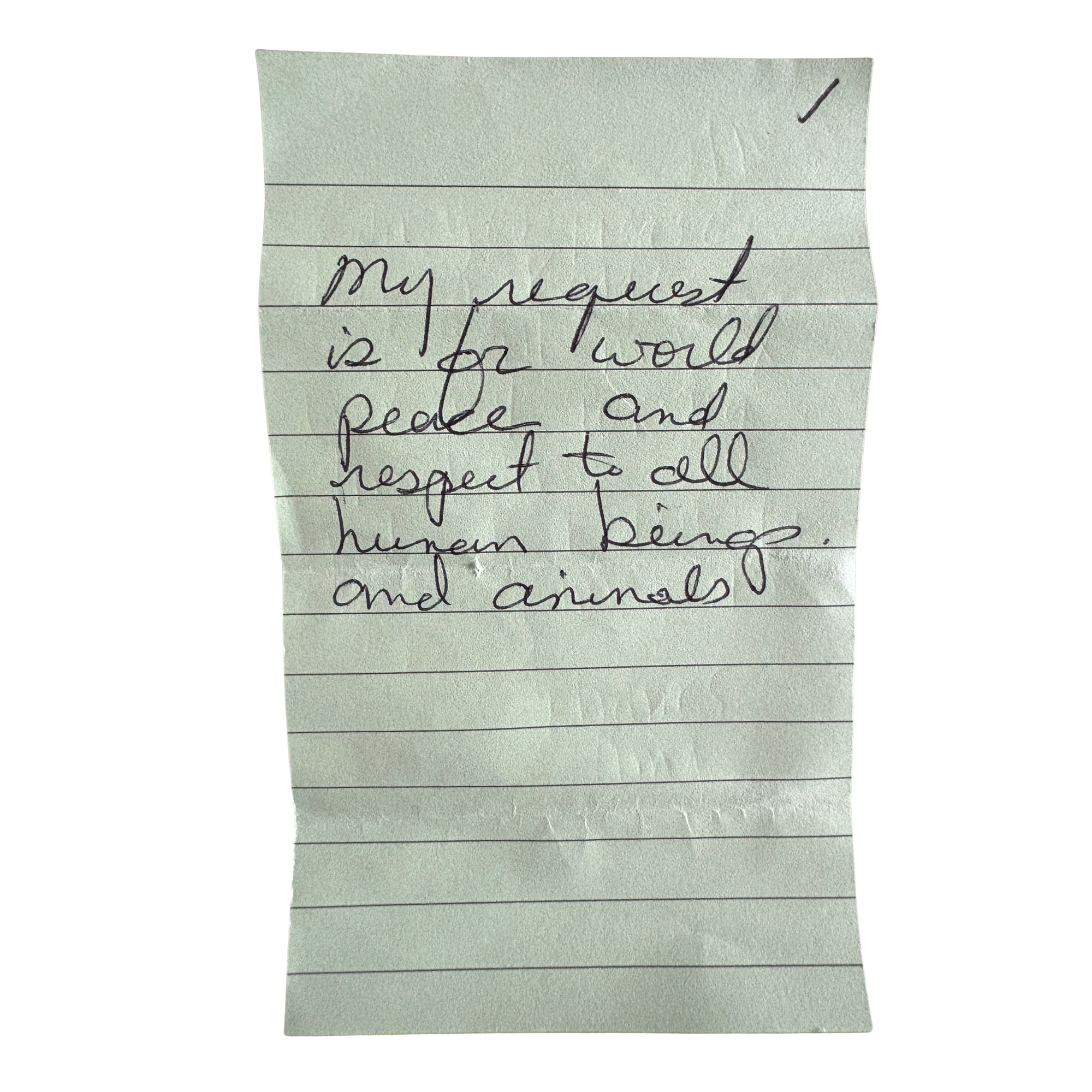 20 (1).png