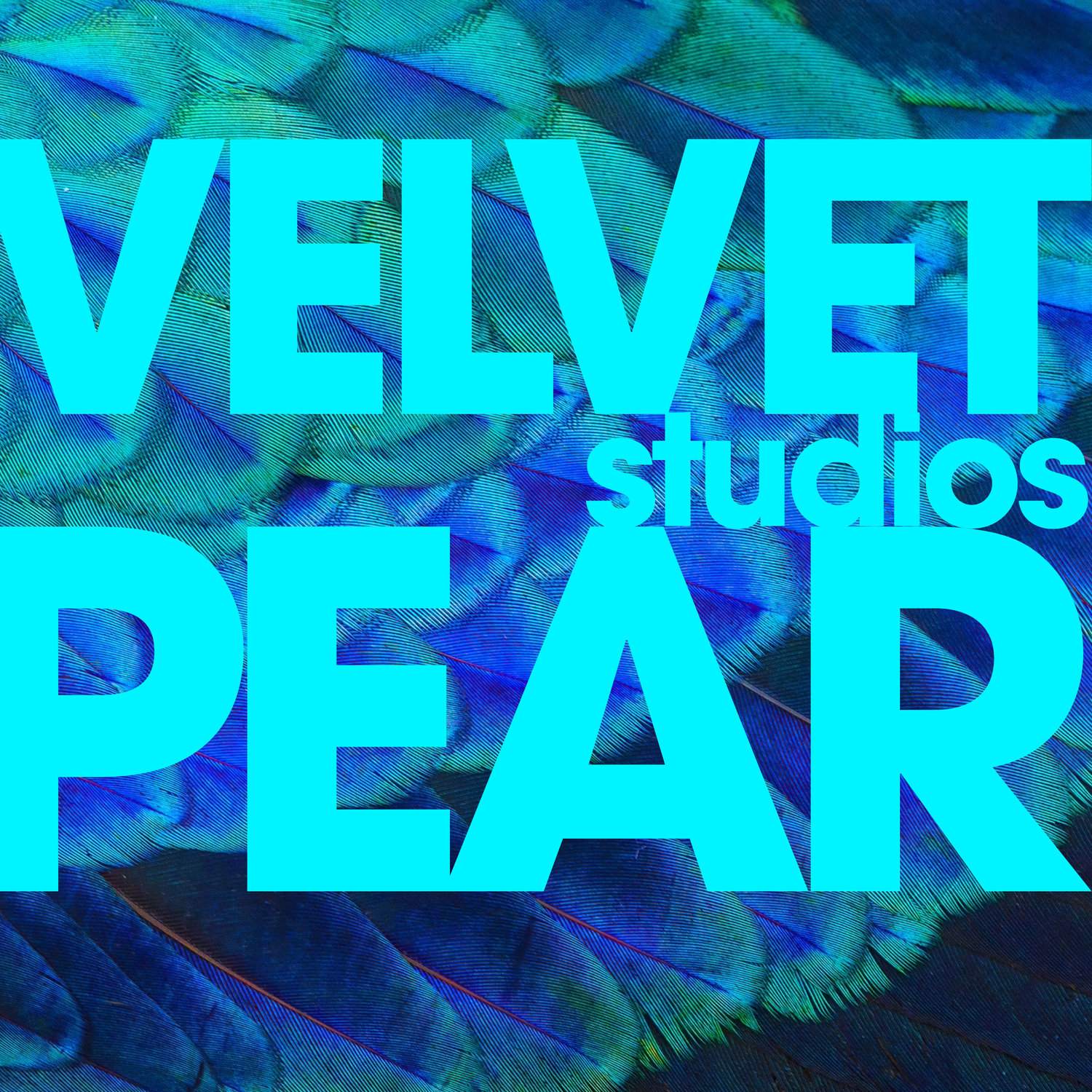 Velvet Pear Studios