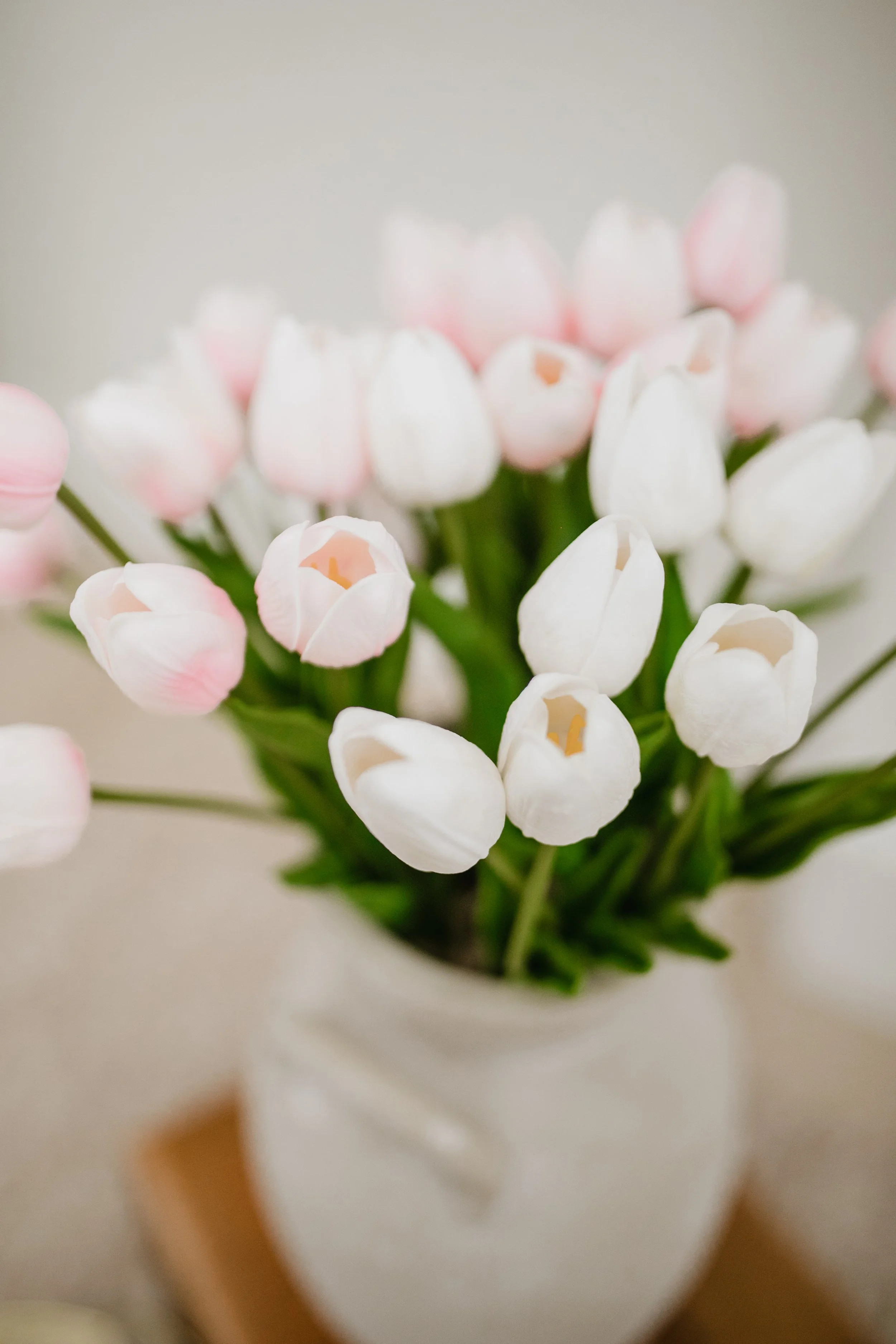 spring setup SL 9.jpg