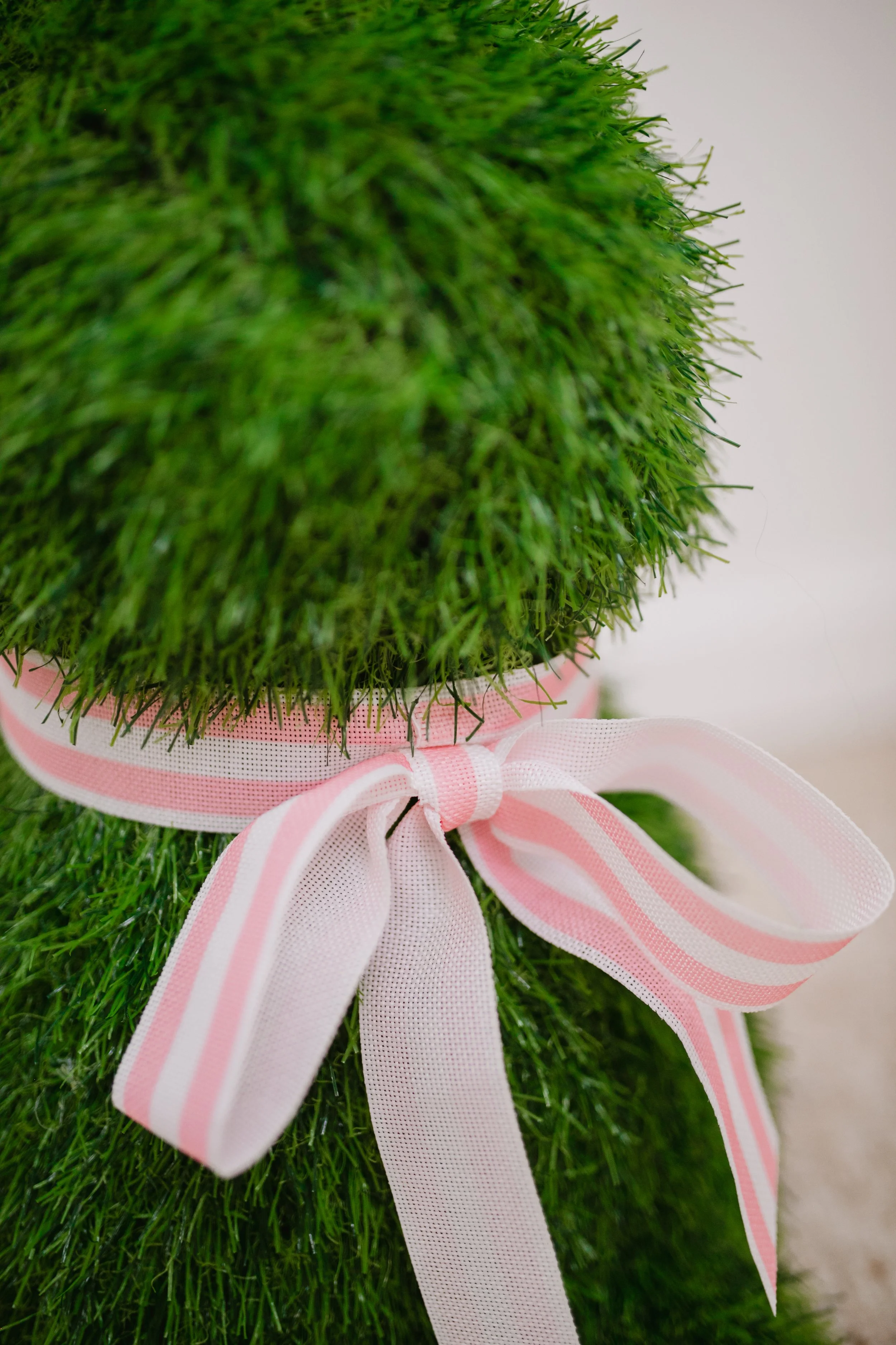 spring setup SL 19.jpg