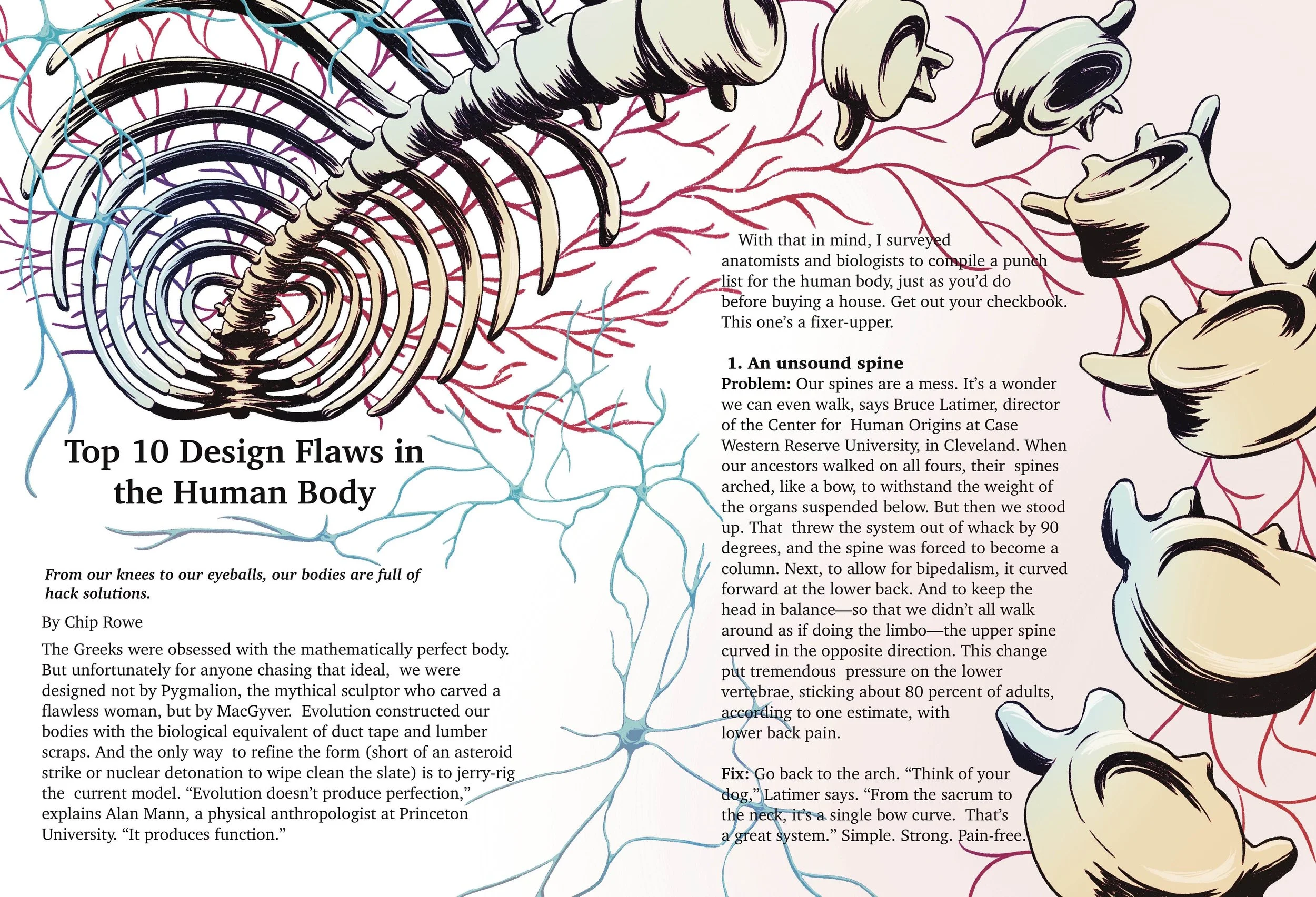 Human Body Editorial Spread - digital illustration