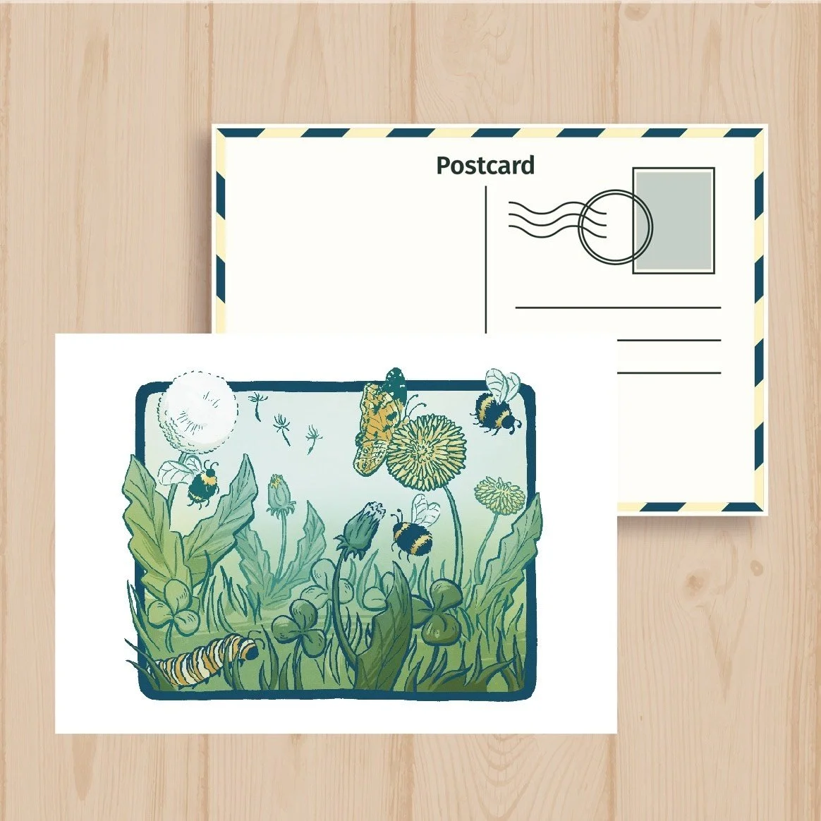 Dandelion_Postcard.jpg