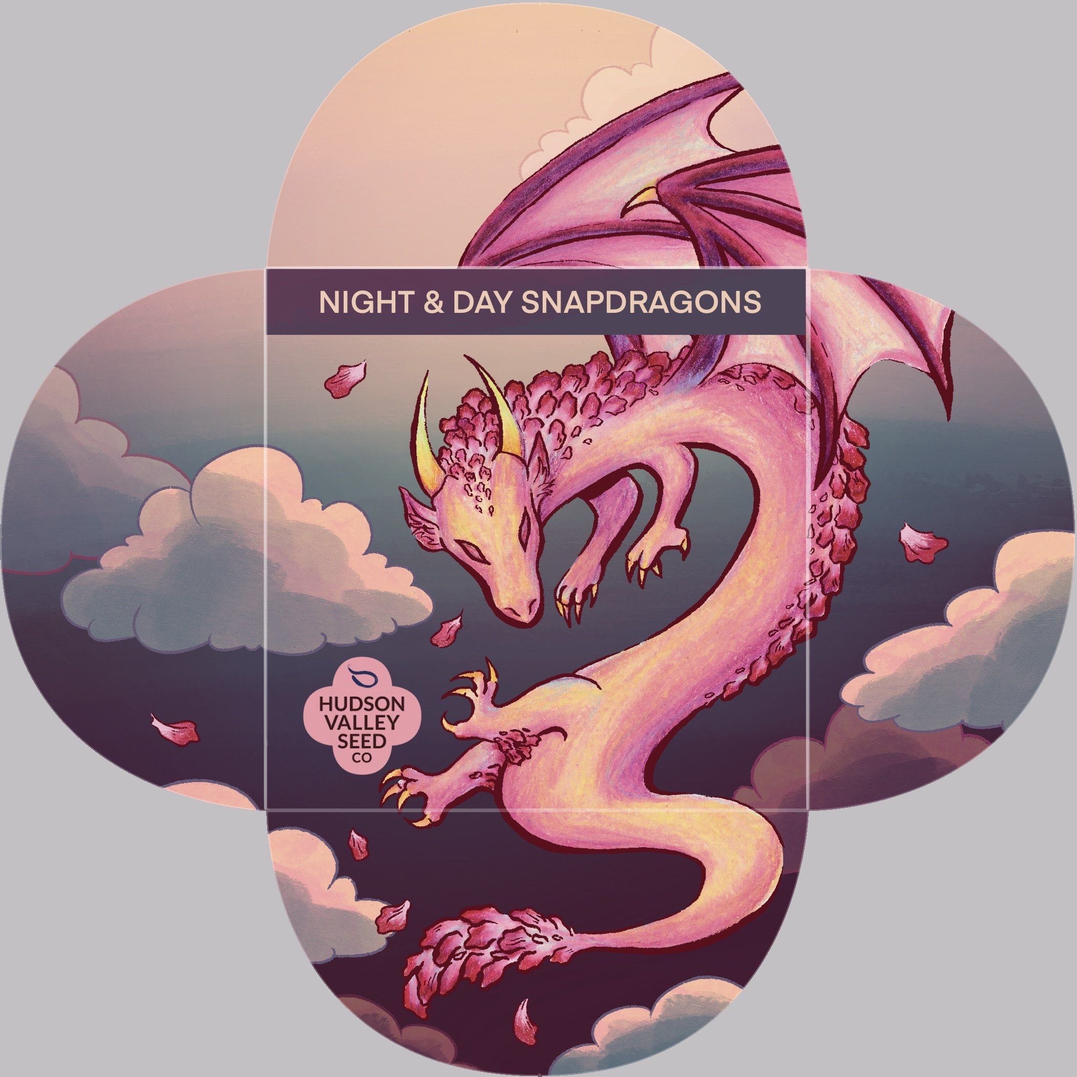 Hudson Valley Seed Co. Art Pack Submission (2026) - ink and colored pencil on paper, digital